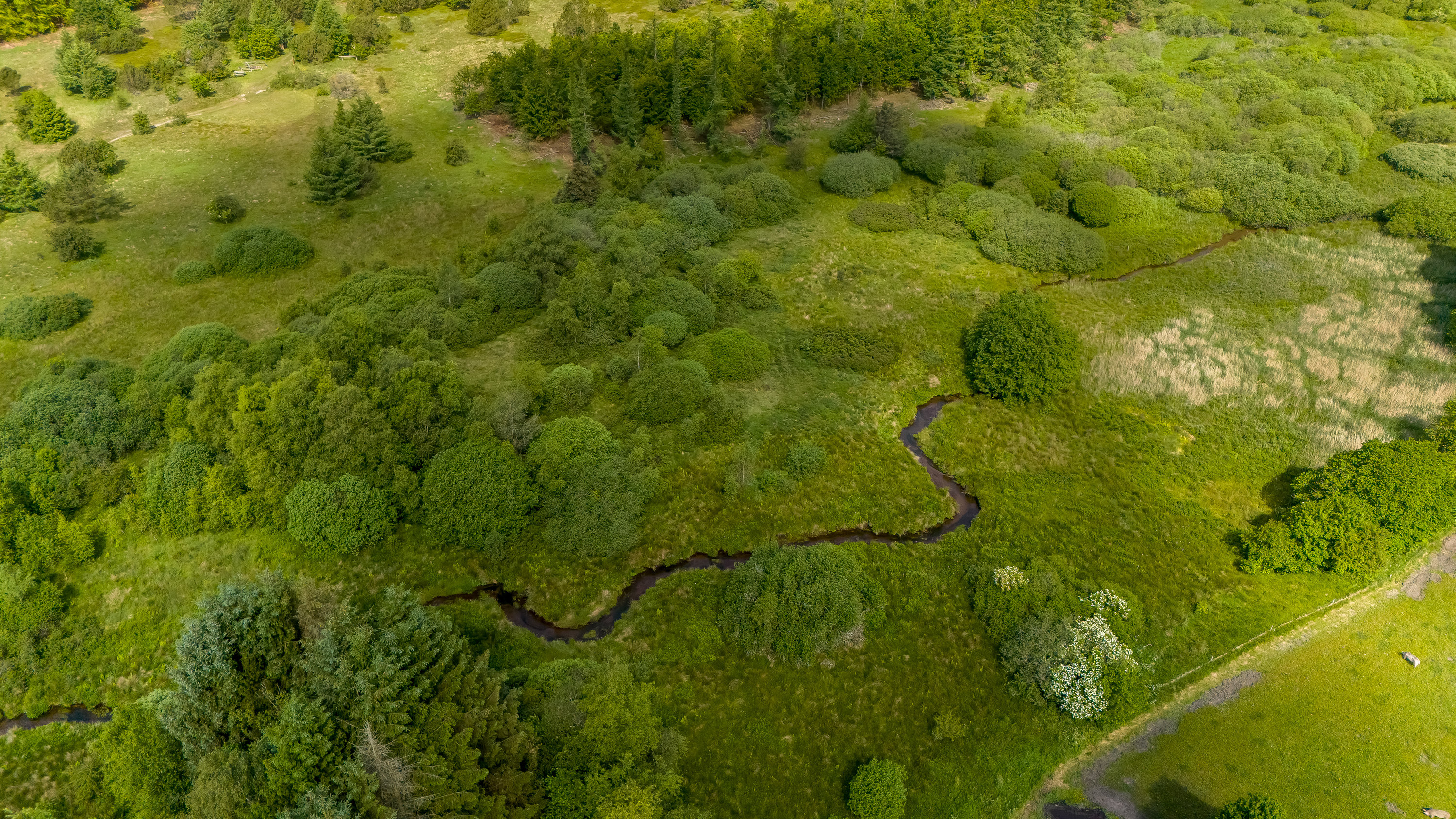 Fremhævet luftfoto billede i fuldskærmstilstand. Billede af Ormstrupvej 12, Idom, 7500 Holstebro