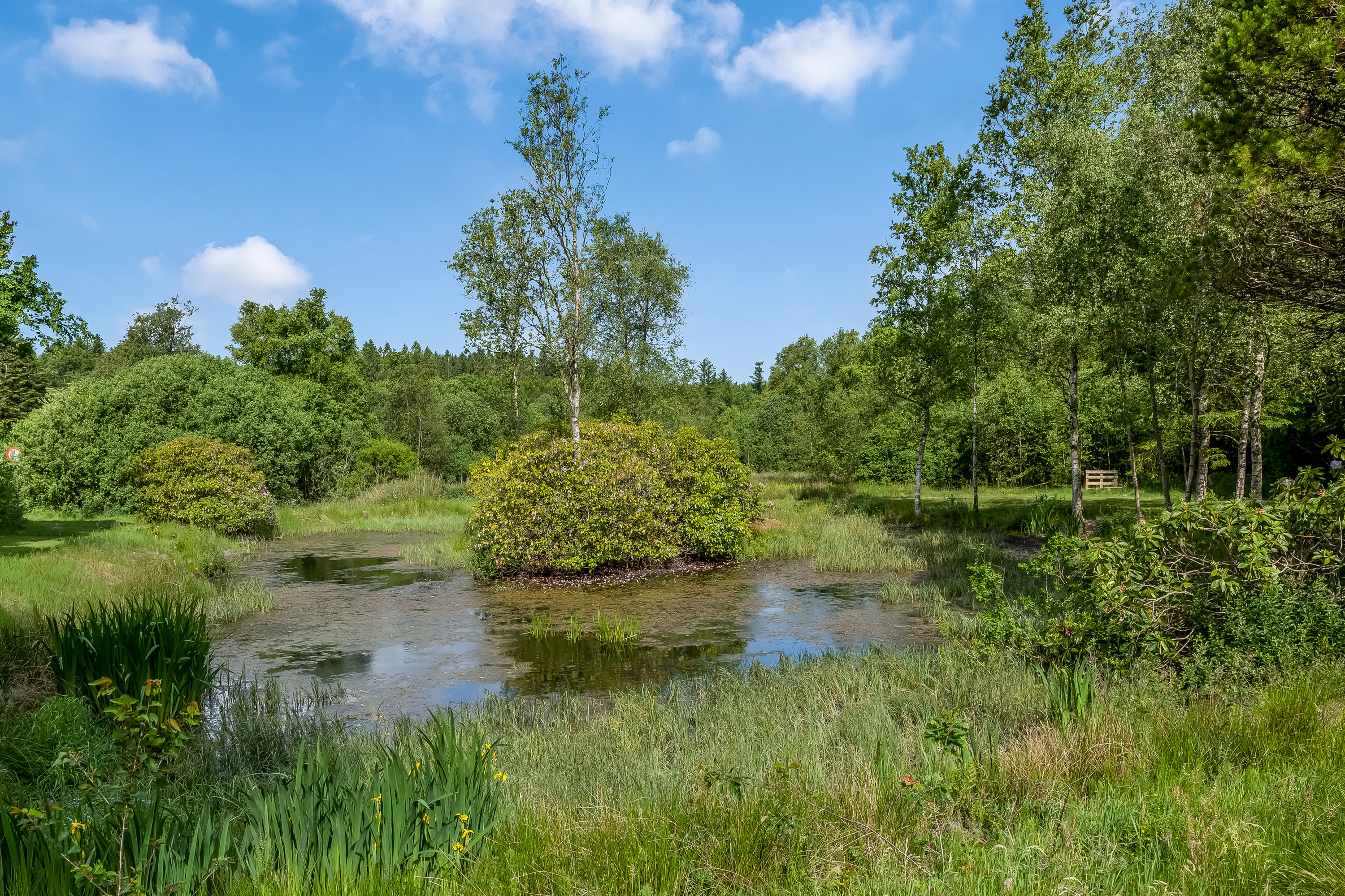 Miniaturebillede 1: have. Billede af Ormstrupvej 12, Idom, 7500 Holstebro