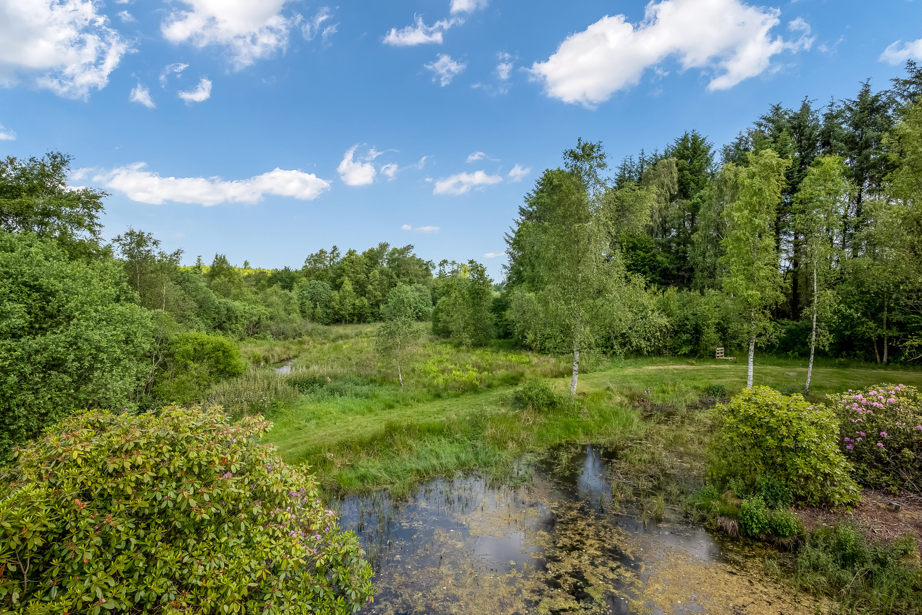 Fremhævet have billede i fuldskærmstilstand. Billede af Ormstrupvej 12, Idom, 7500 Holstebro