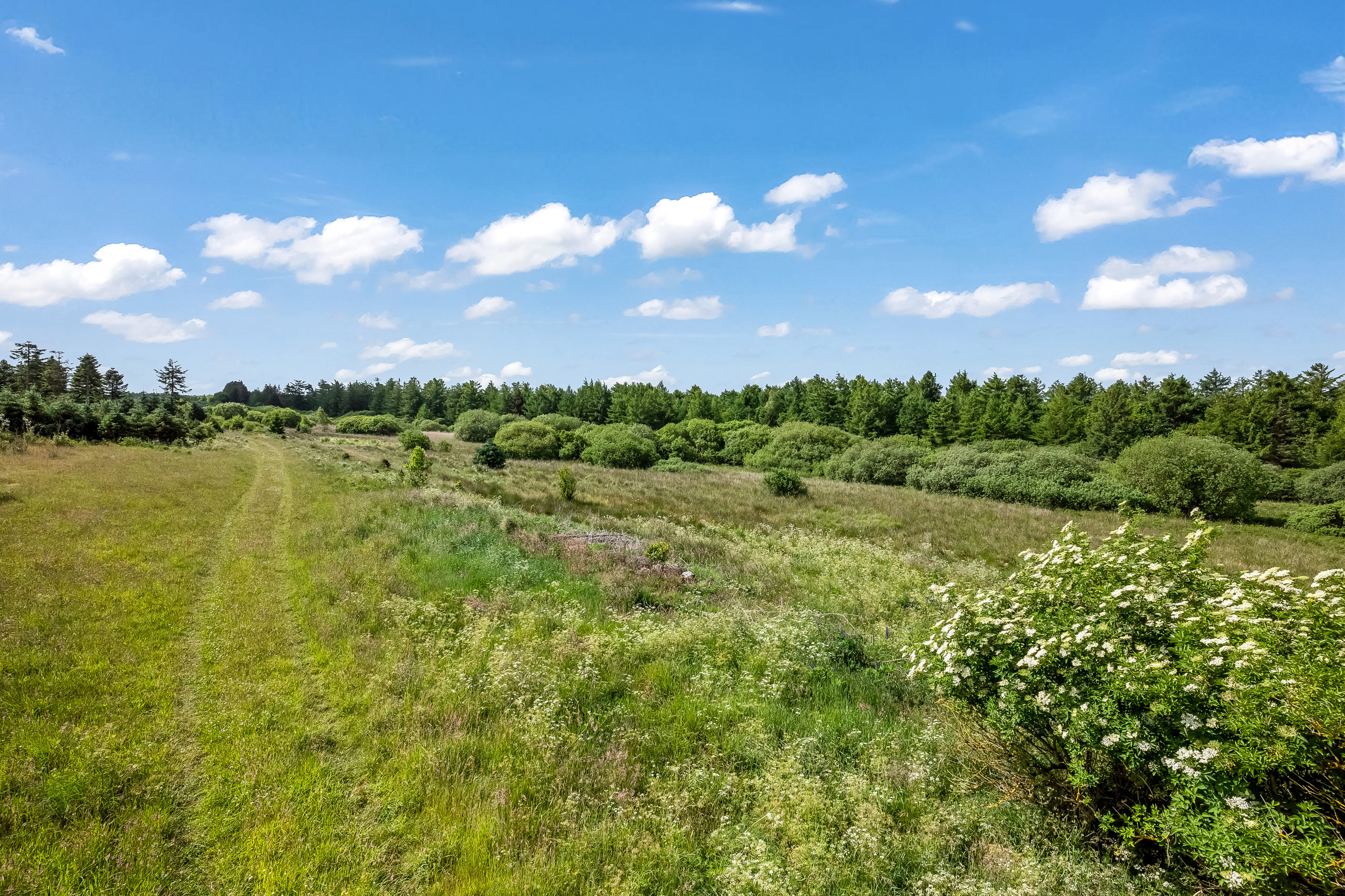 Fremhævet område billede i fuldskærmstilstand. Billede af Ormstrupvej 12, Idom, 7500 Holstebro