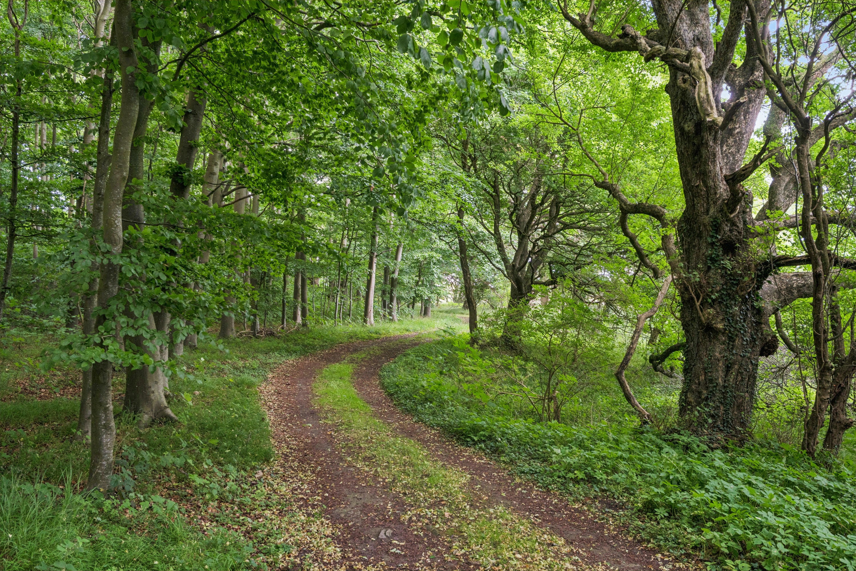 Fremhævet  billede i fuldskærmstilstand. Billede af Ladegårdsvej 101, Branderslev, 4900 Nakskov