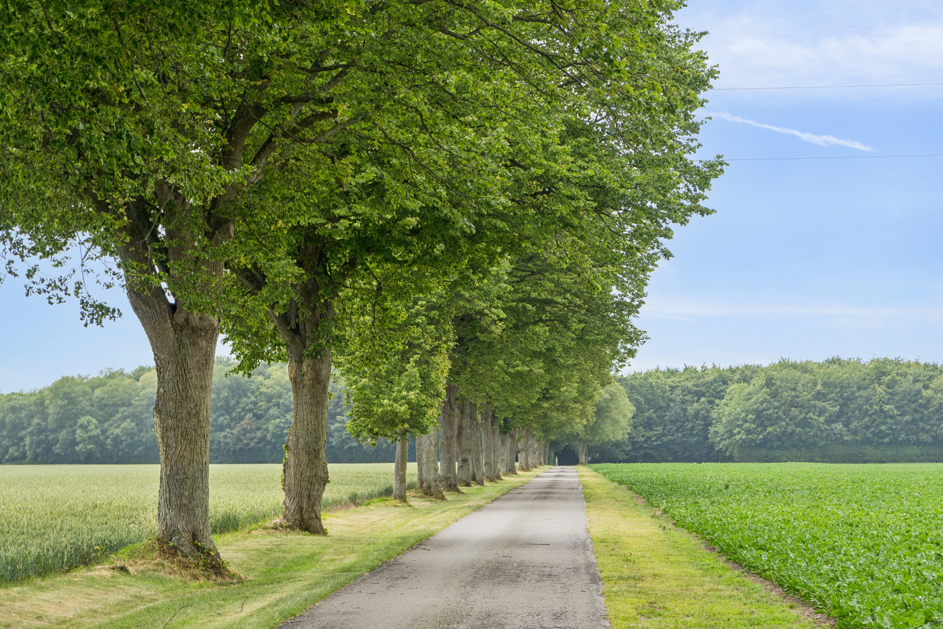Fremhævet  billede i fuldskærmstilstand. Billede af Ladegårdsvej 101, Branderslev, 4900 Nakskov