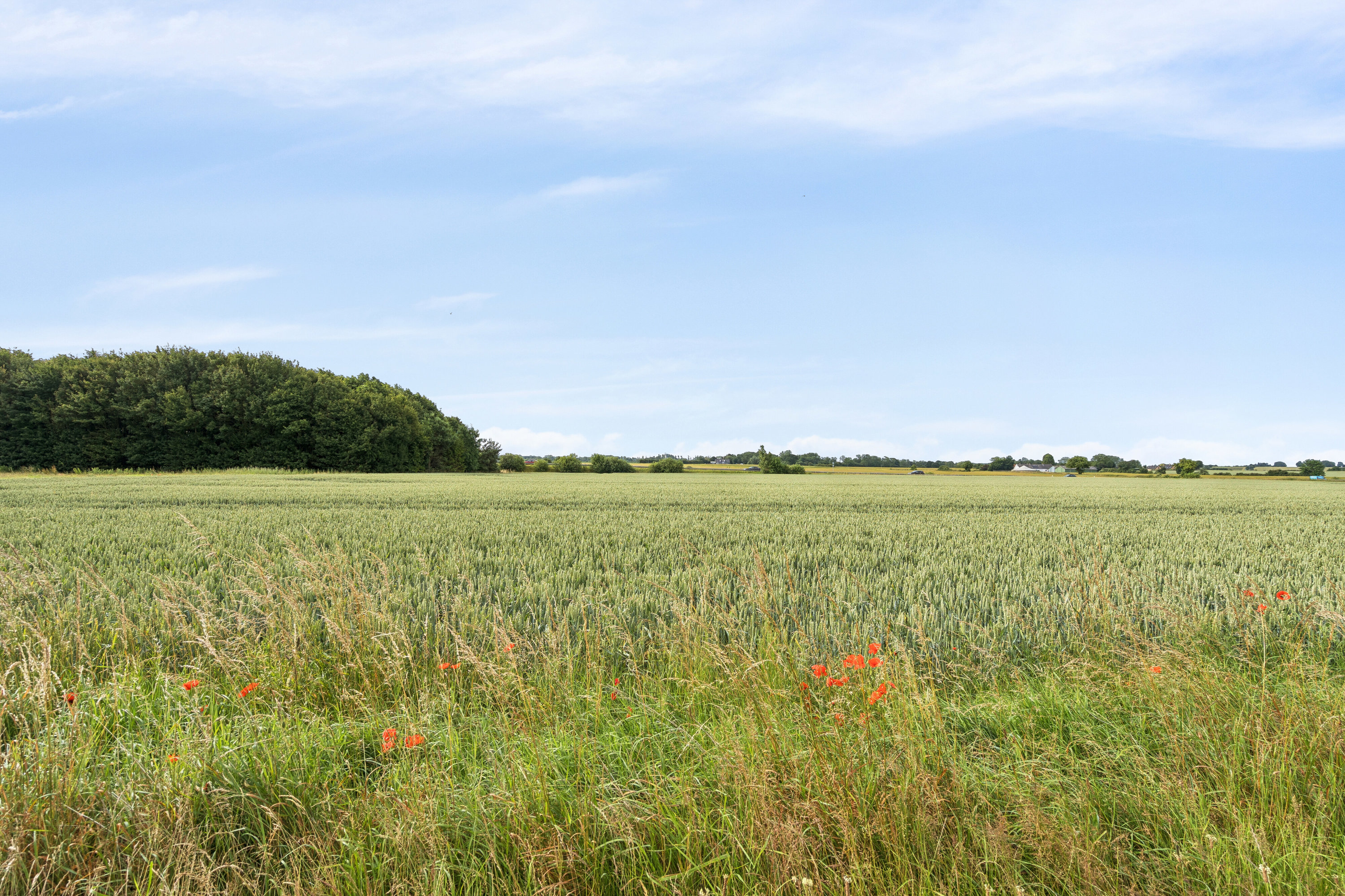Fremhævet udendørs billede i fuldskærmstilstand. Billede af Kirstinebjergvej 27, Årslev, 5792 Årslev