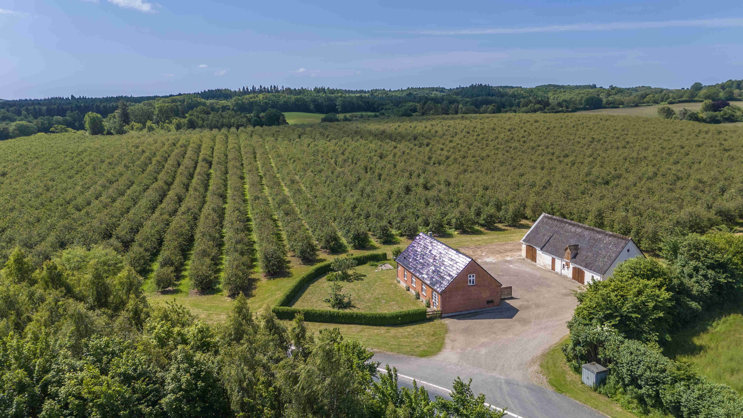 Fremhævet birkevej 1 billede i fuldskærmstilstand. Billede af Jordløsevej 21, V Hæsinge, 5672 Broby