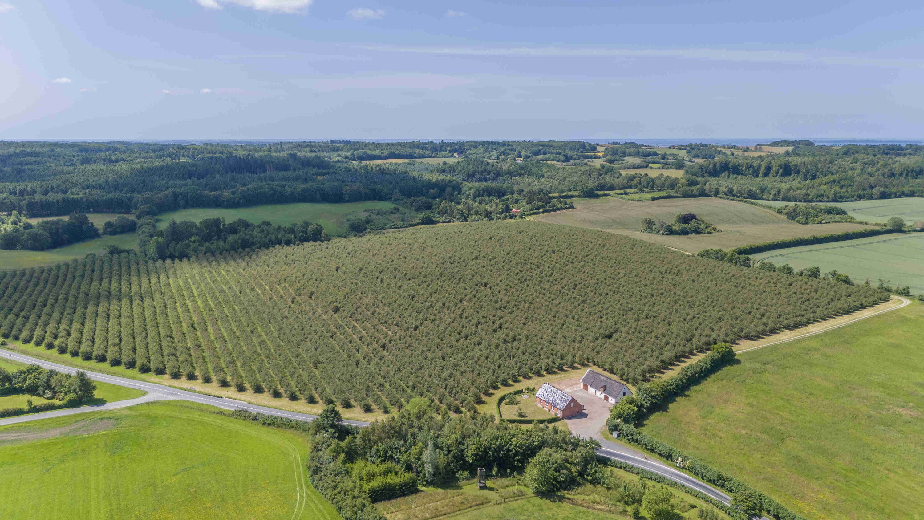 Fremhævet birkevej 1 billede i fuldskærmstilstand. Billede af Jordløsevej 21, V Hæsinge, 5672 Broby