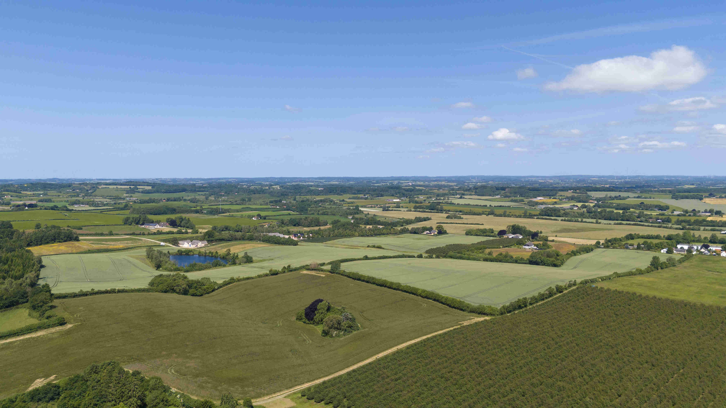 Fremhævet birkevej 1 billede i fuldskærmstilstand. Billede af Jordløsevej 21, V Hæsinge, 5672 Broby