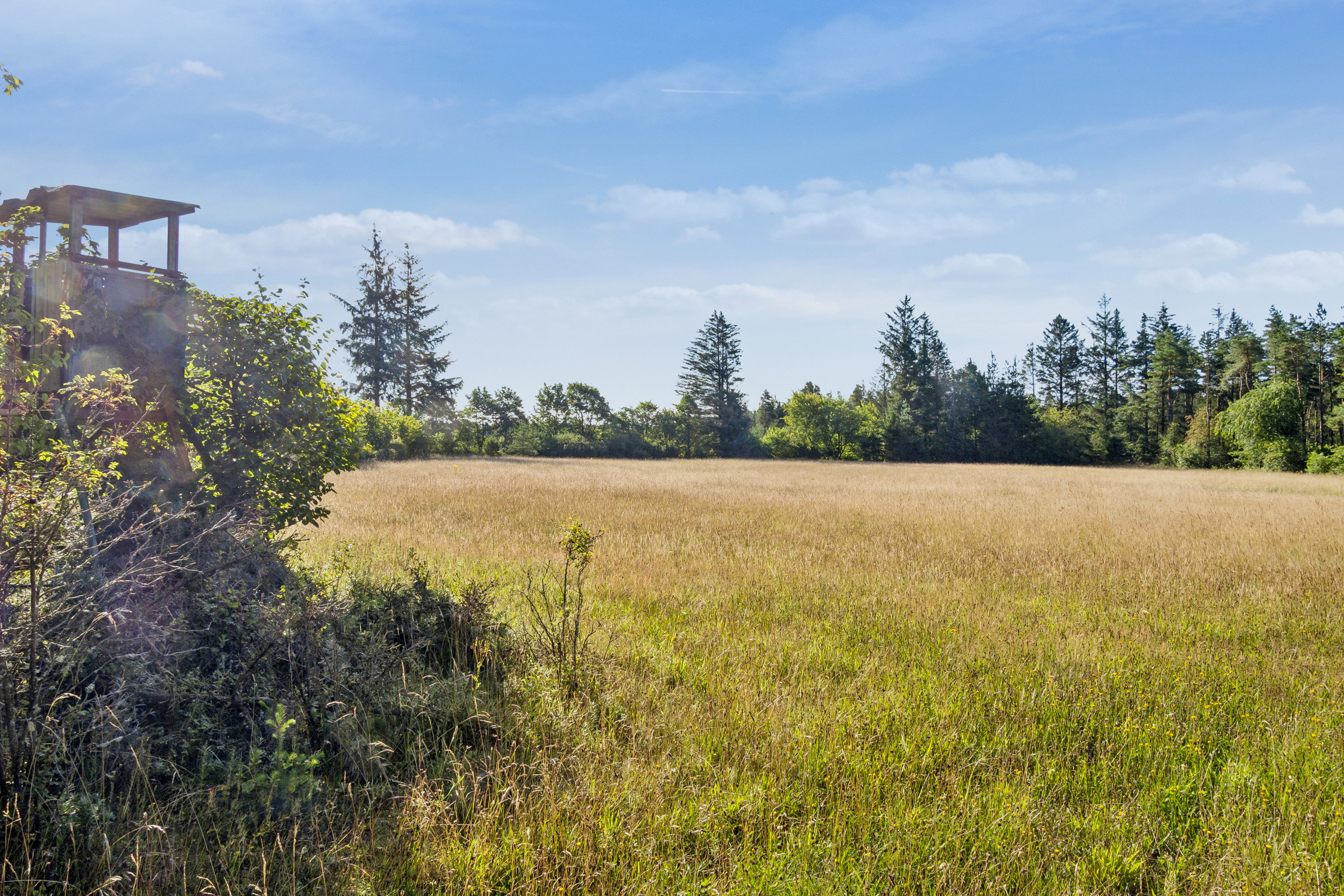 Fremhævet  billede i fuldskærmstilstand. Billede af Ravnholtvej 5, Knudstrup, 8620 Kjellerup