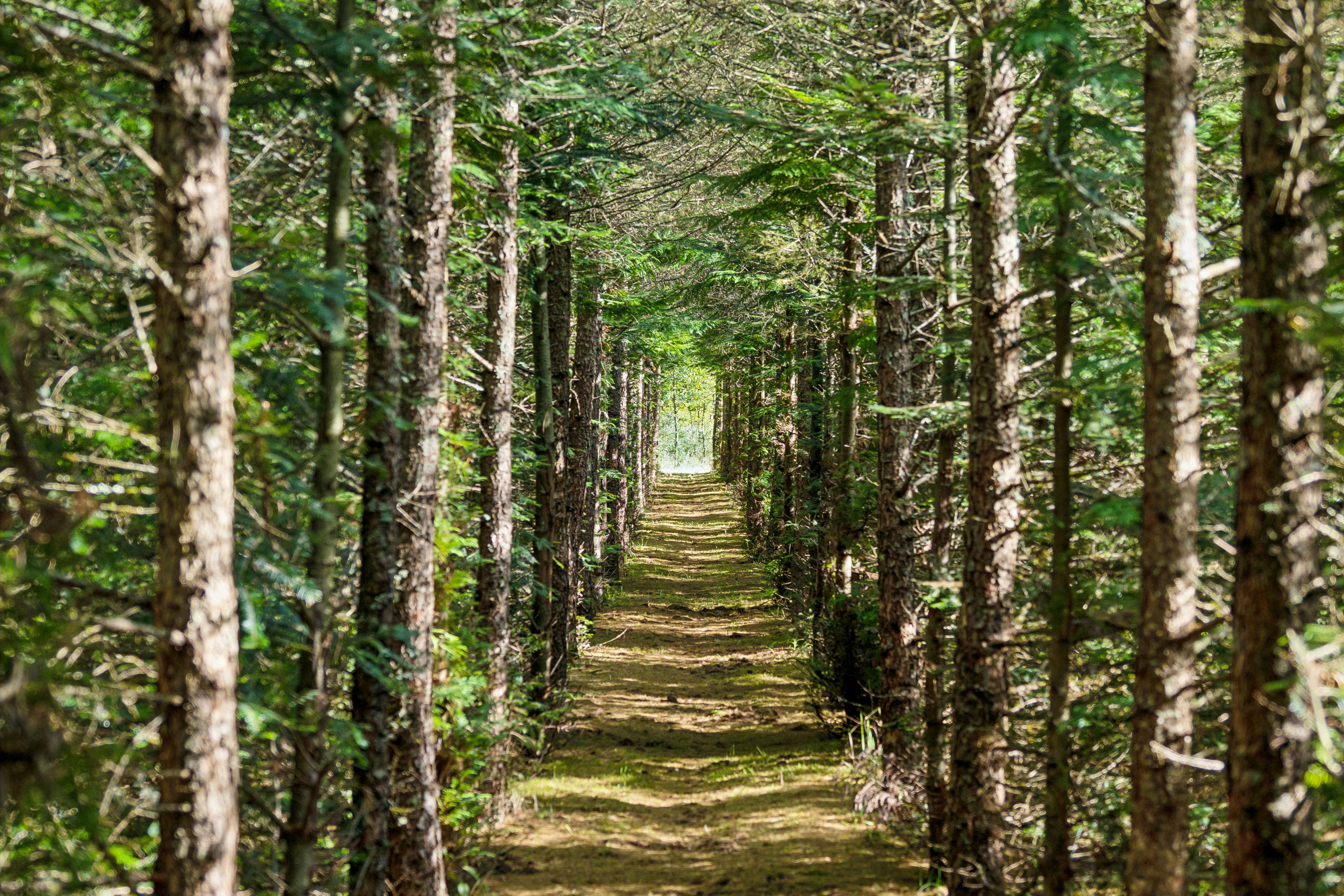 Fremhævet  billede i fuldskærmstilstand. Billede af Ravnholtvej 5, Knudstrup, 8620 Kjellerup