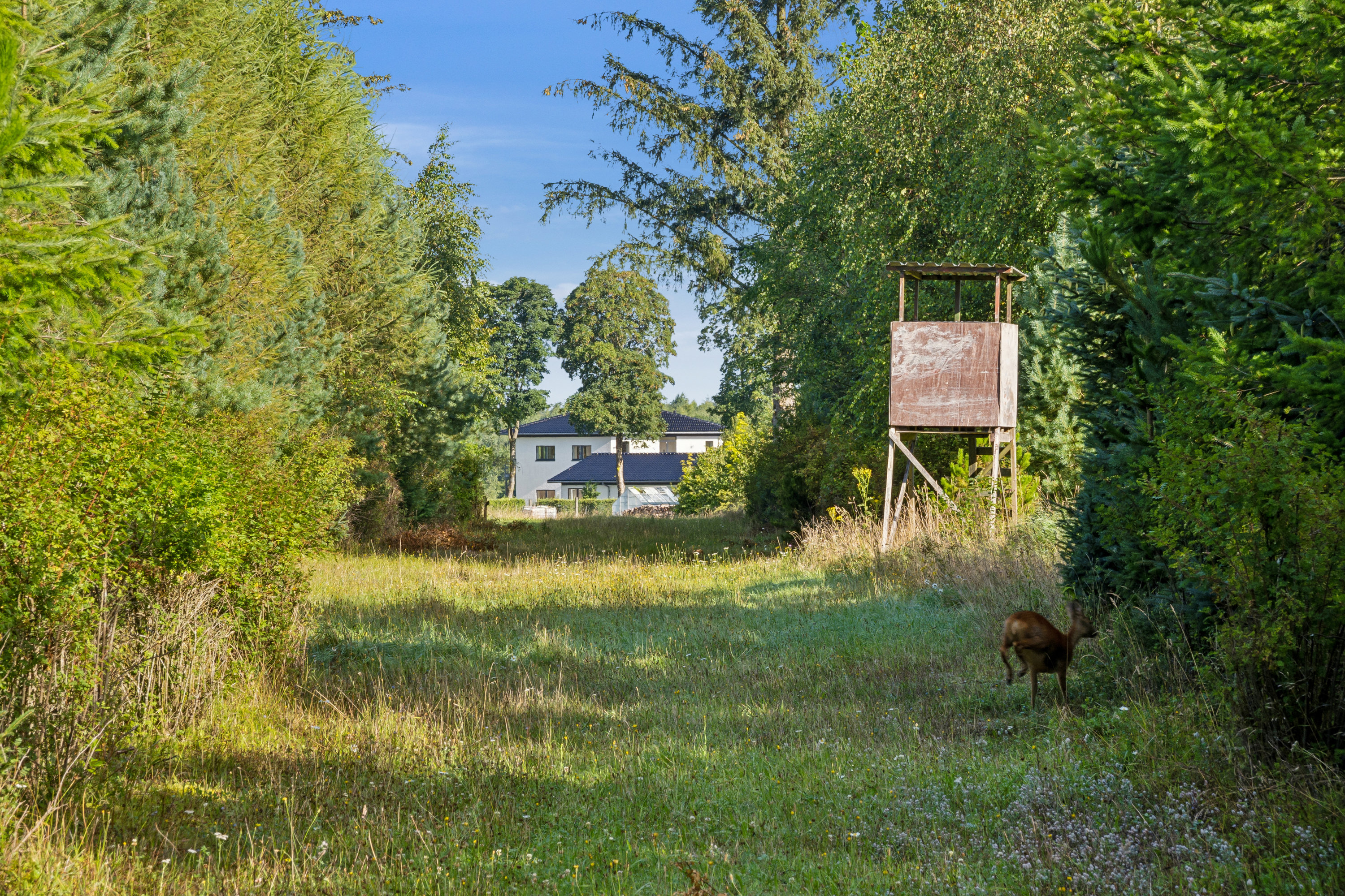 Fremhævet  billede i fuldskærmstilstand. Billede af Ravnholtvej 5, Knudstrup, 8620 Kjellerup