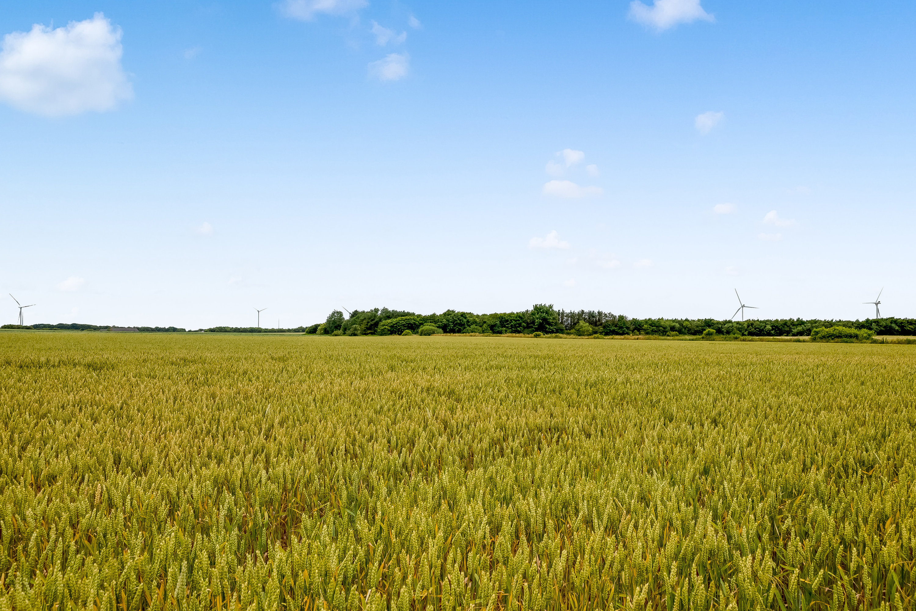 Fremhævet  billede i fuldskærmstilstand. Billede af Kærvej 31, Bøvling, 7650 Bøvlingbjerg