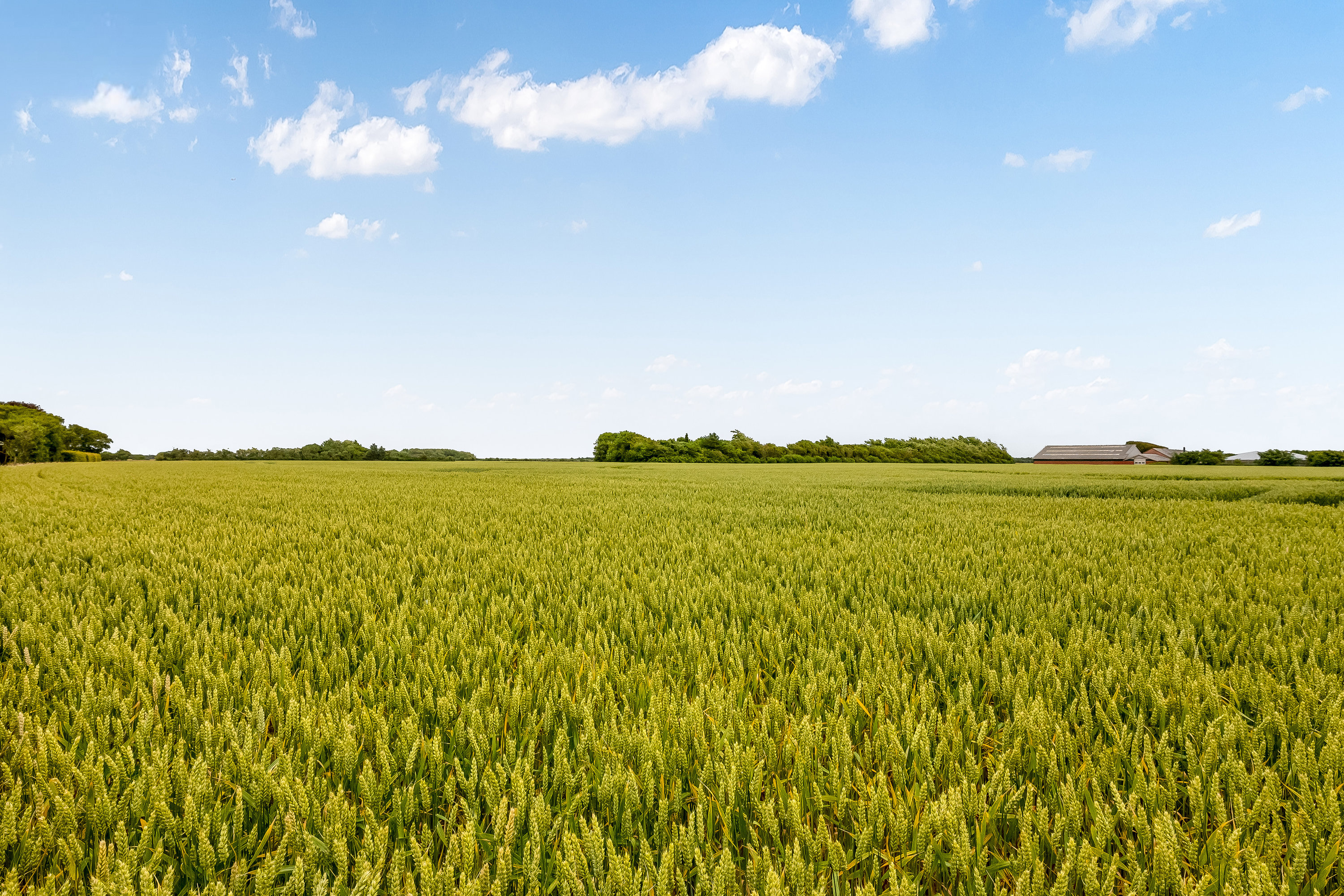 Fremhævet  billede i fuldskærmstilstand. Billede af Kærvej 31, Bøvling, 7650 Bøvlingbjerg