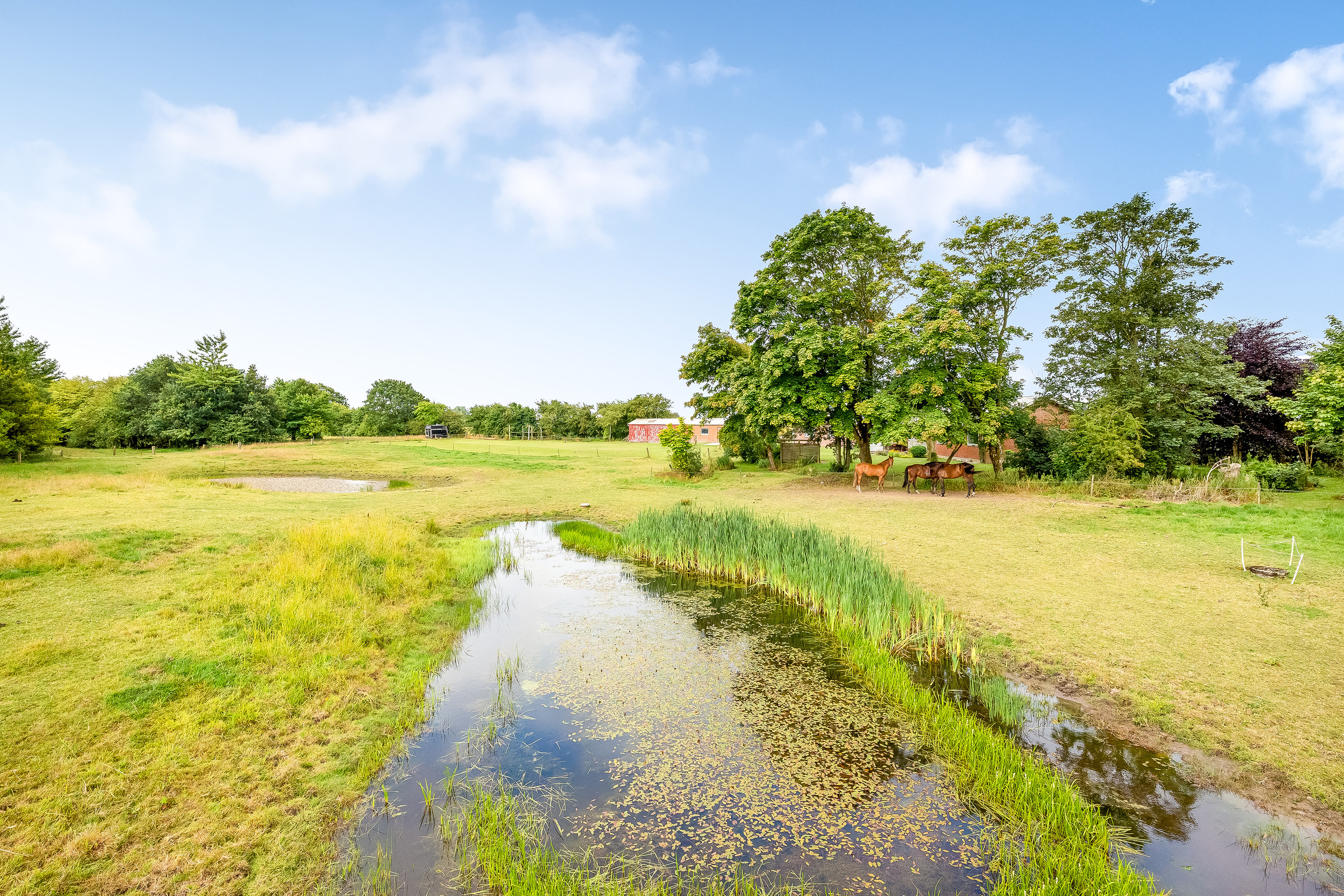 Fremhævet hestefold billede i fuldskærmstilstand. Billede af Mosebyvej 34, 7500 Holstebro