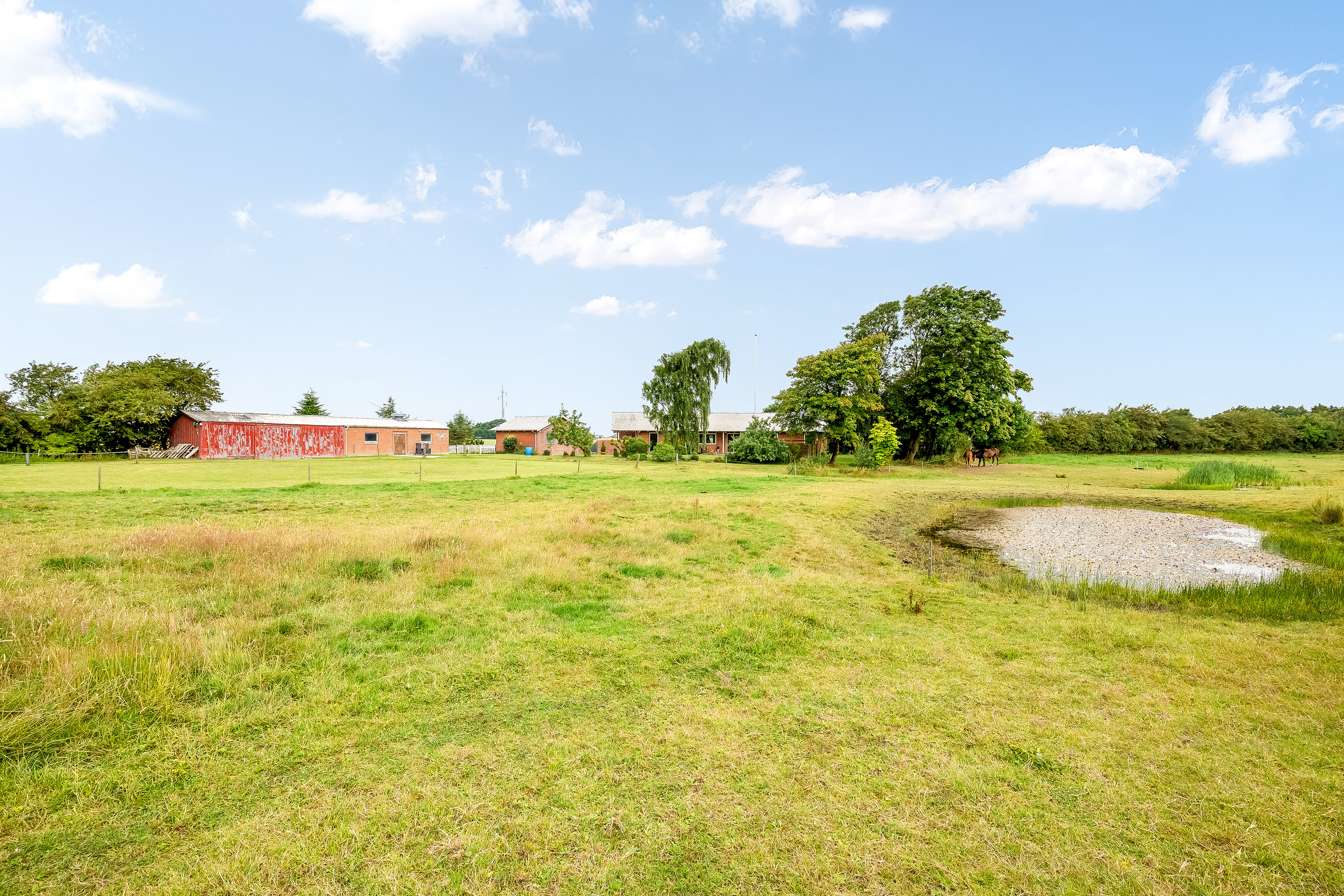 Fremhævet hestefold billede i fuldskærmstilstand. Billede af Mosebyvej 34, 7500 Holstebro