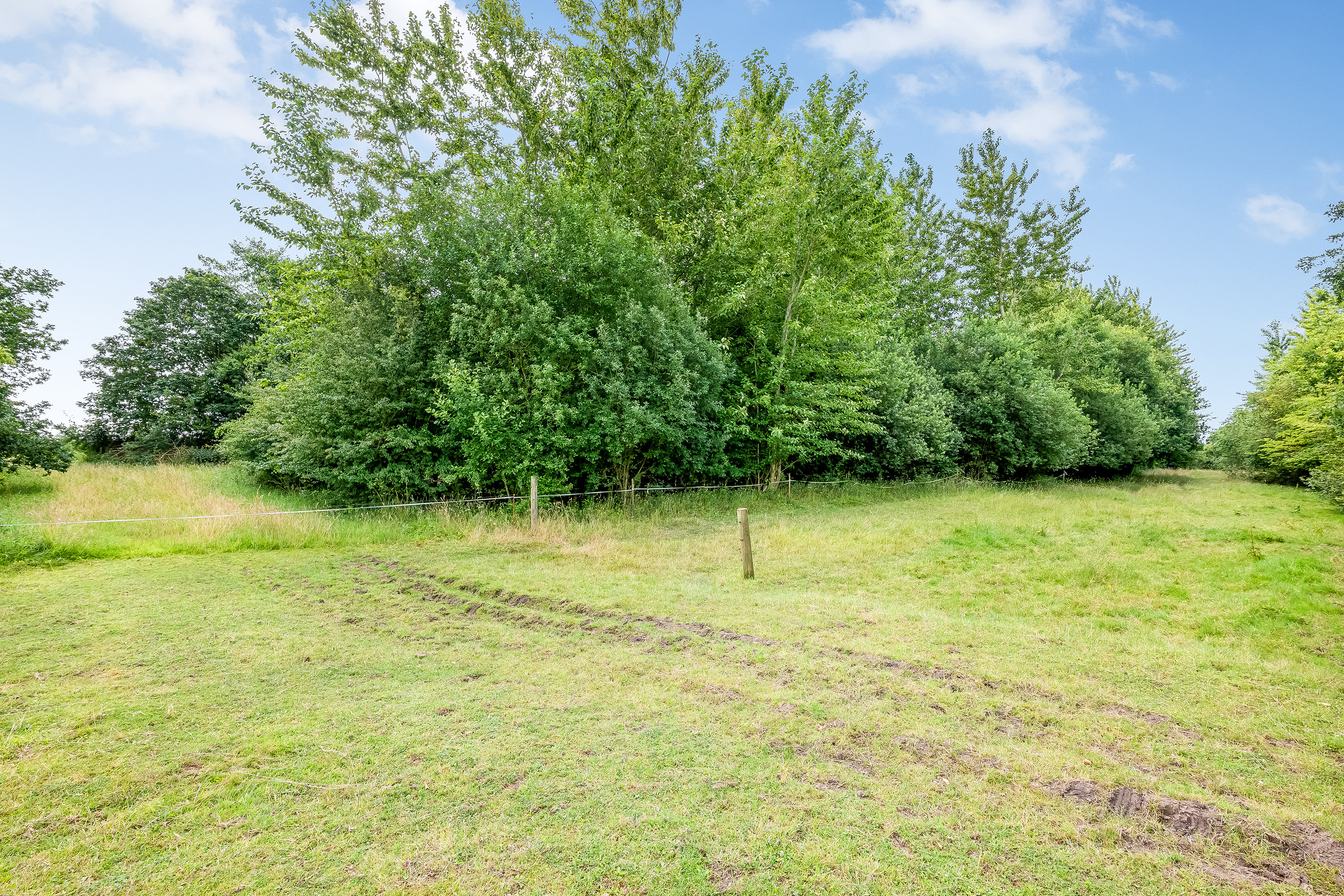 Fremhævet hestefold billede i fuldskærmstilstand. Billede af Mosebyvej 34, 7500 Holstebro