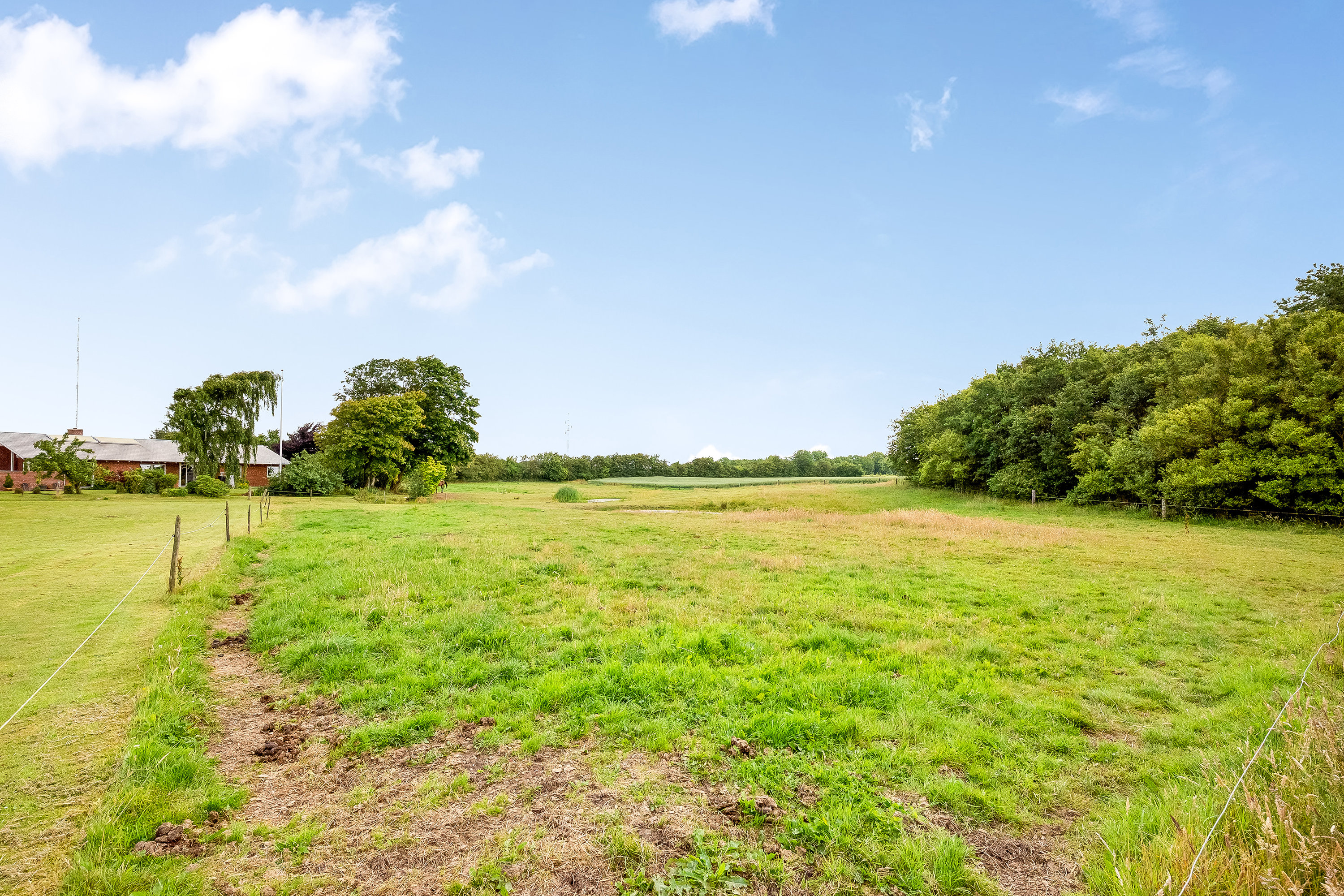 Fremhævet hestefold billede i fuldskærmstilstand. Billede af Mosebyvej 34, 7500 Holstebro