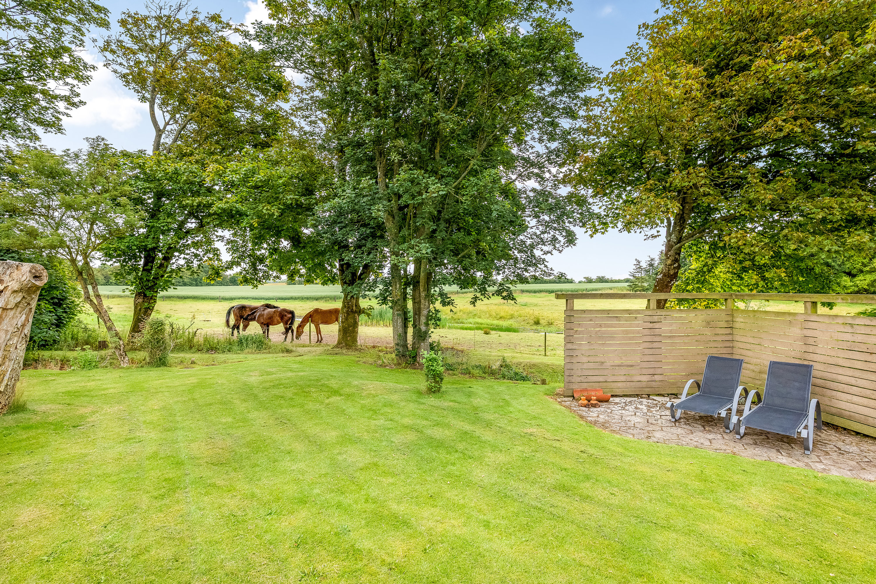 Fremhævet have billede i fuldskærmstilstand. Billede af Mosebyvej 34, 7500 Holstebro