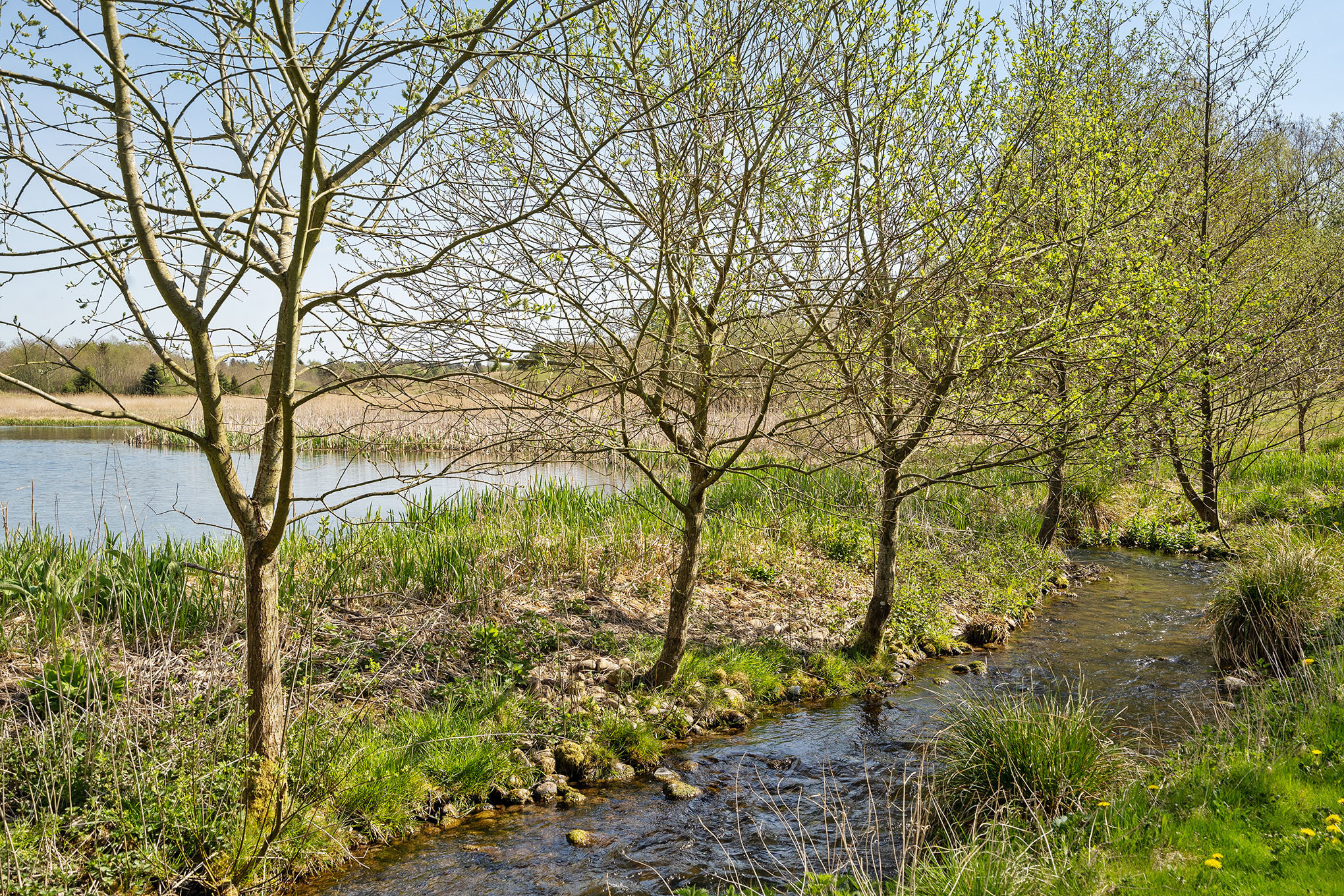 Fremhævet  billede i fuldskærmstilstand. Billede af Bjergbyvej 12, Bjergby, 7830 Vinderup