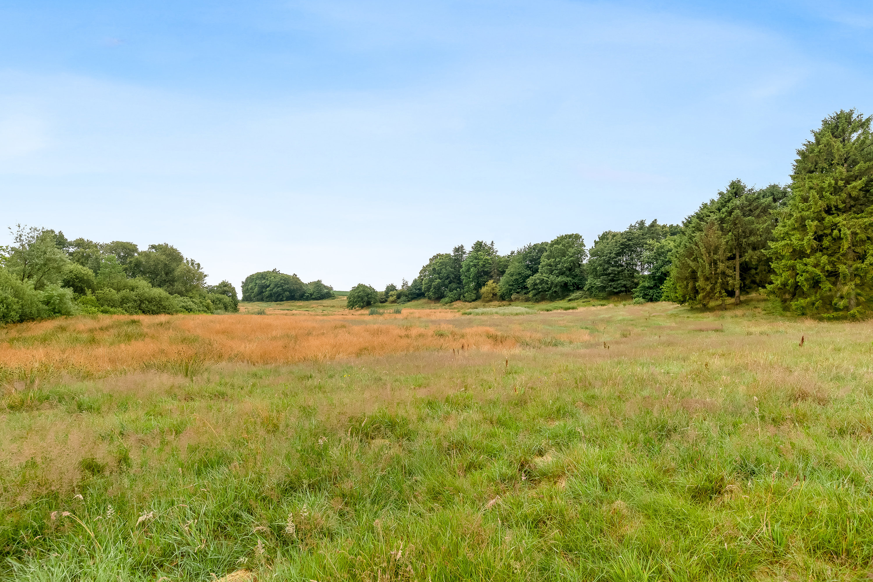 Fremhævet jordtilliggende billede i fuldskærmstilstand. Billede af Holstebrovej 27, Handbjerg, 7830 Vinderup