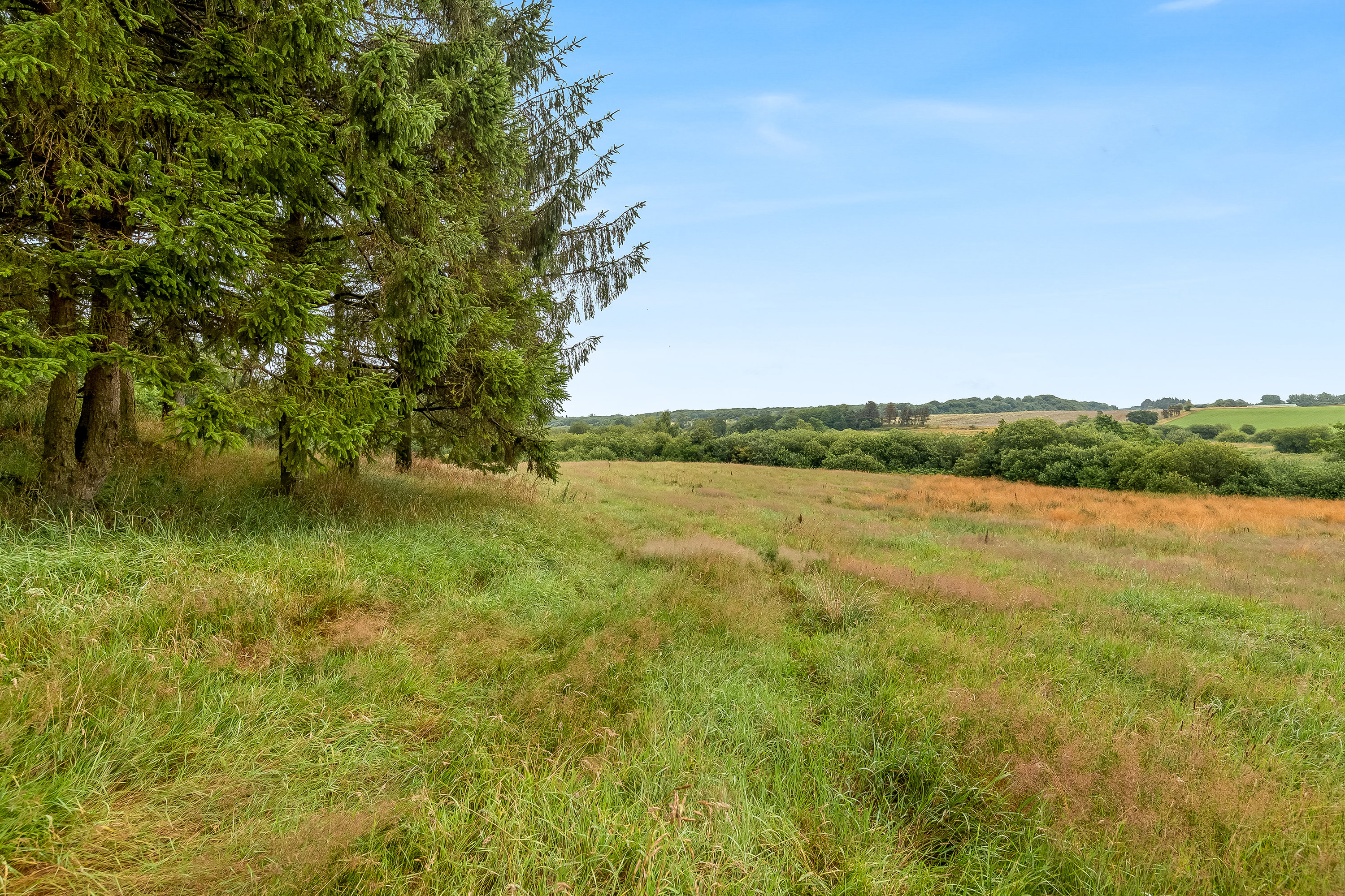 Fremhævet jordtilliggende billede i fuldskærmstilstand. Billede af Holstebrovej 27, Handbjerg, 7830 Vinderup