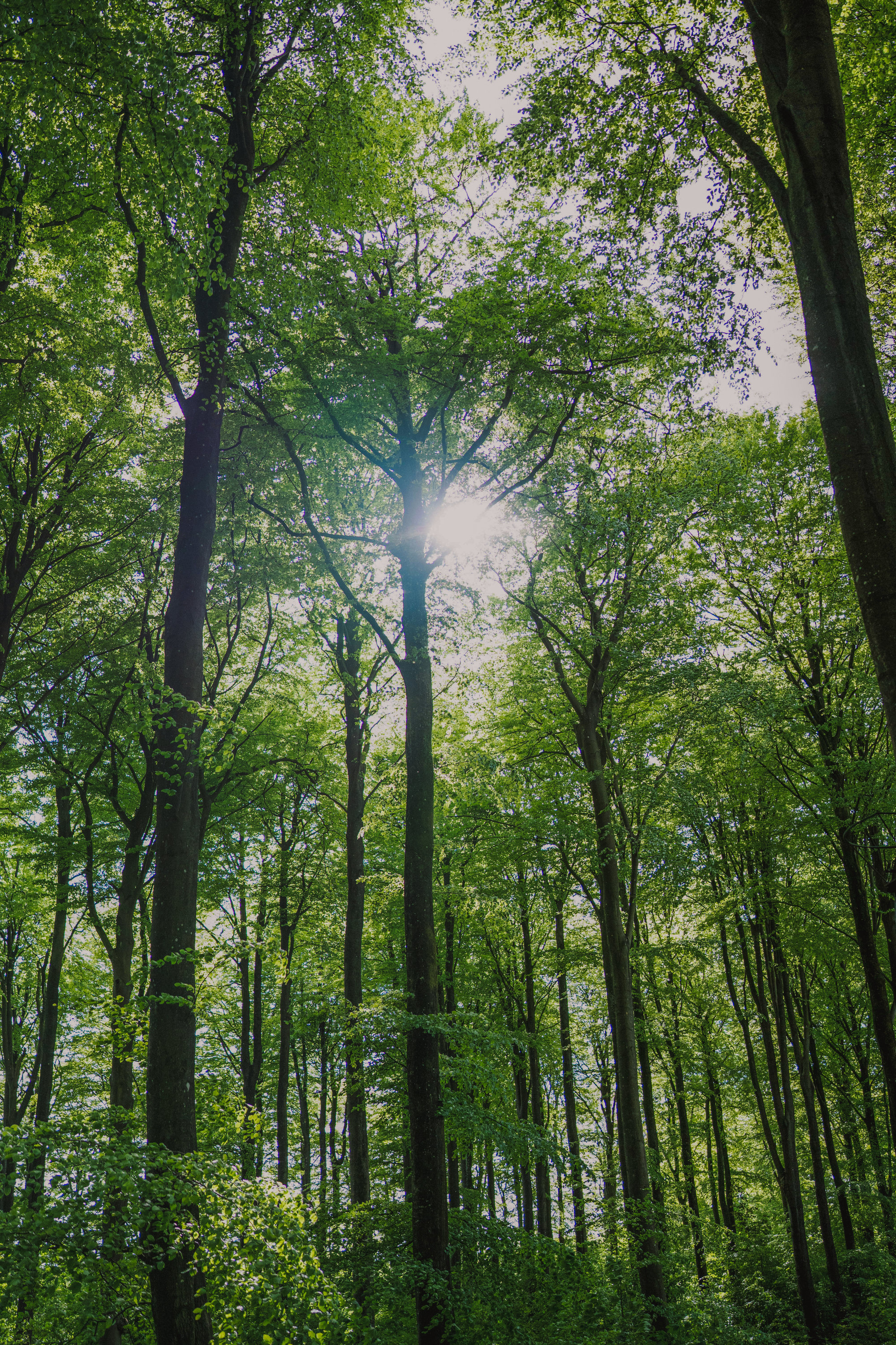 Fremhævet  billede i fuldskærmstilstand. Billede af Brandtlundvej 102, Skærup, 7080 Børkop