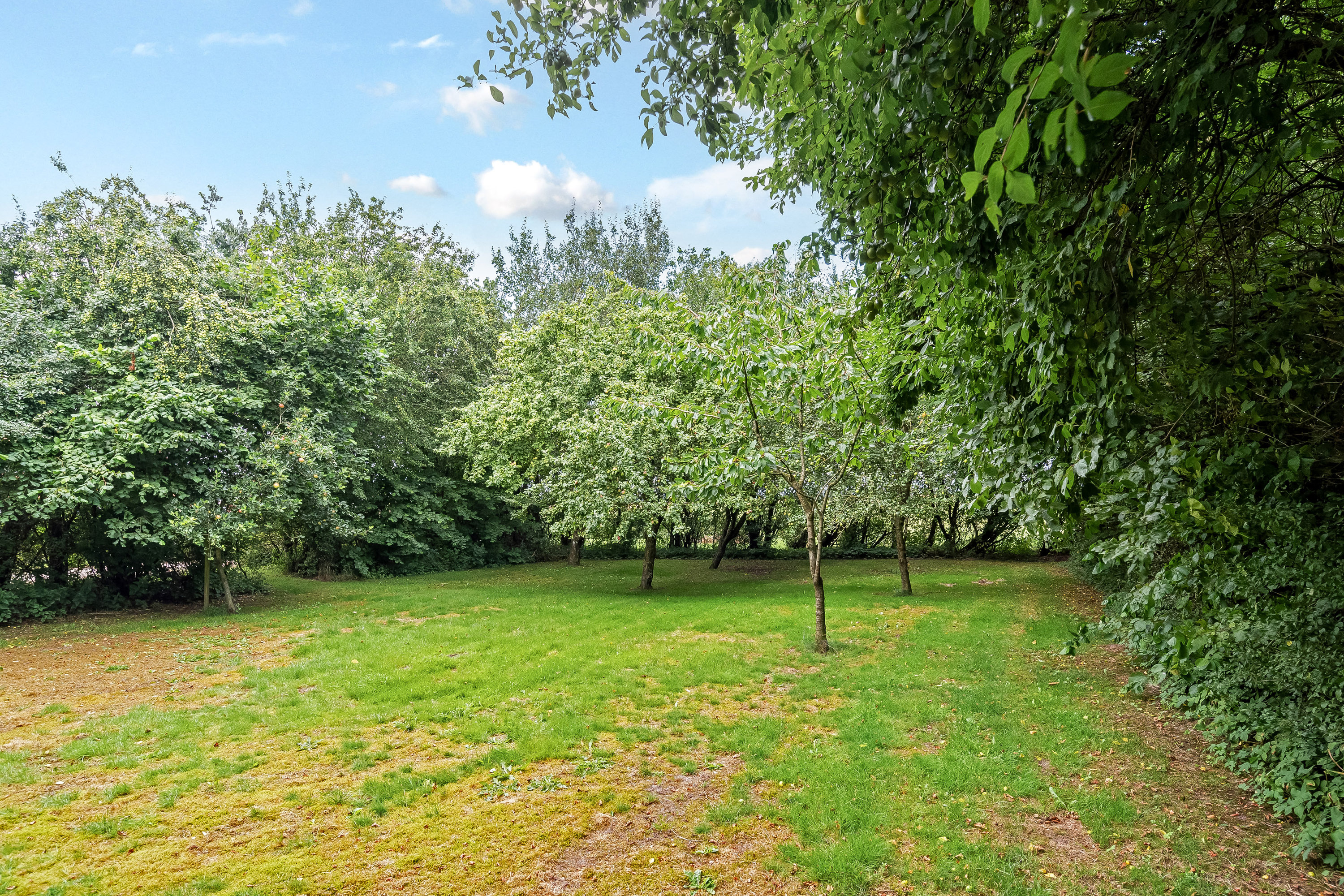 Fremhævet have billede i fuldskærmstilstand. Billede af Kirkevej 44, Handbjerg, 7830 Vinderup