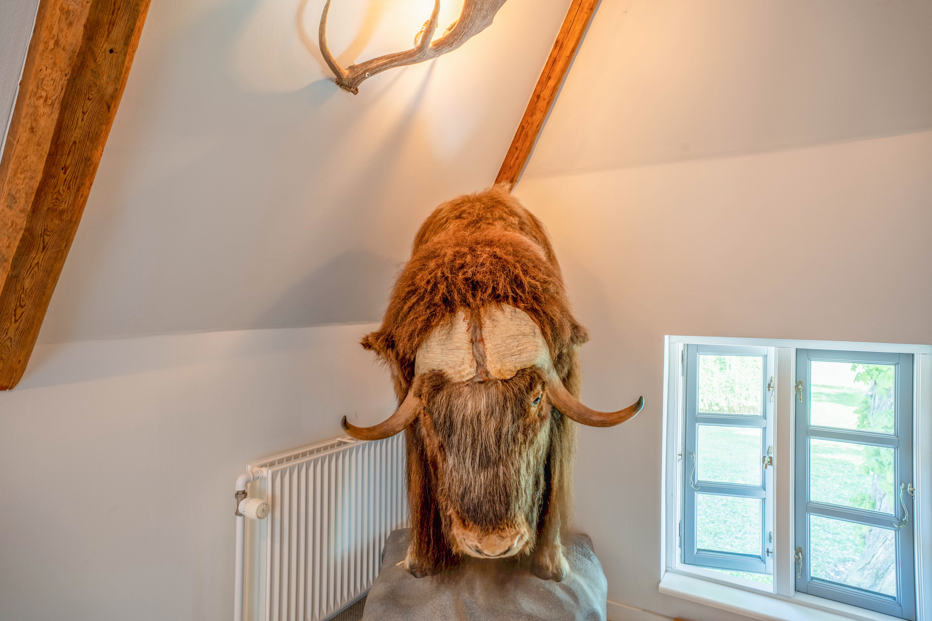 Fremhævet  billede i fuldskærmstilstand. Billede af Brandtlundvej 102, Skærup, 7080 Børkop