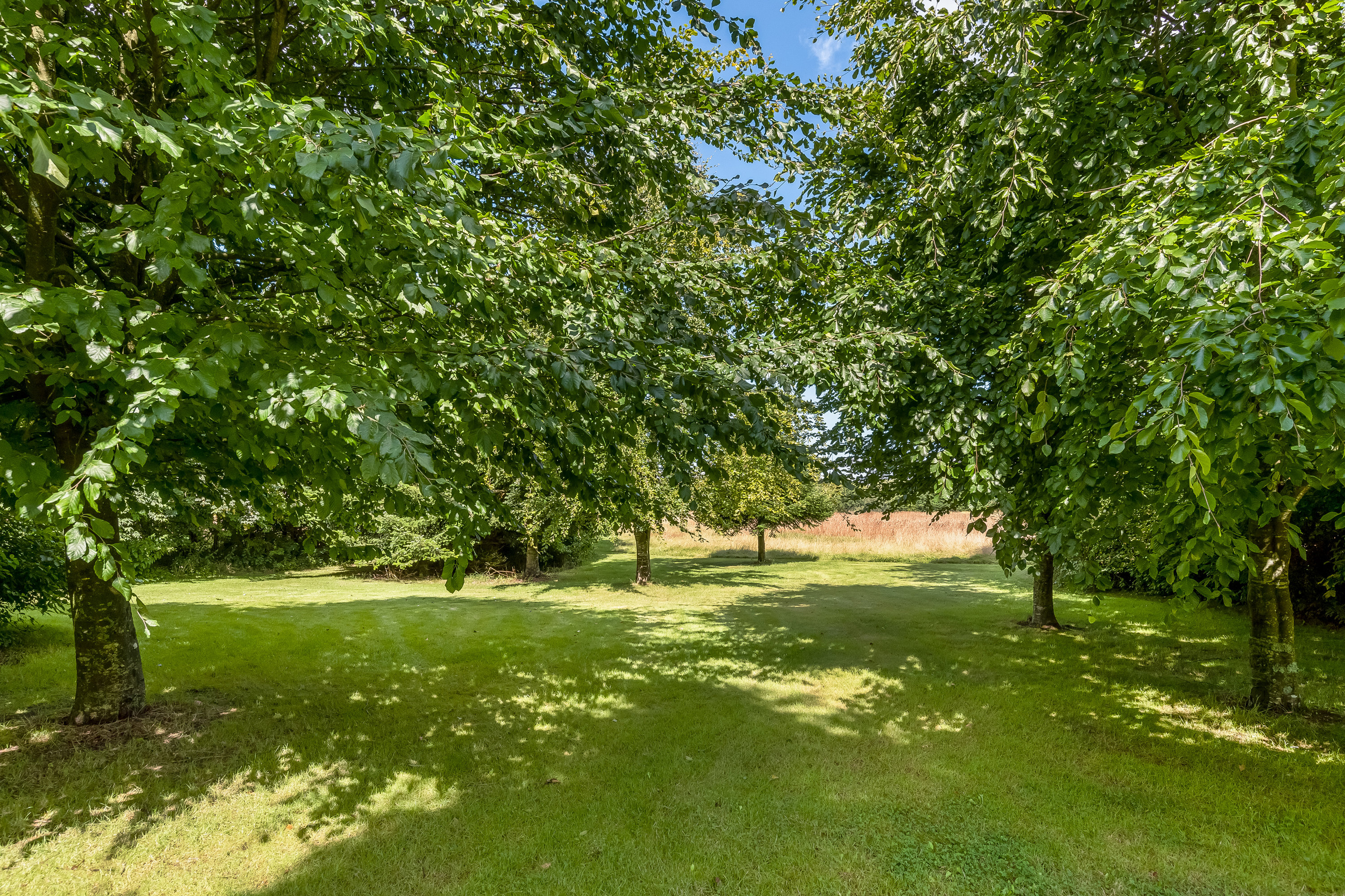 Fremhævet have billede i fuldskærmstilstand. Billede af Nørre Bøgildvej 1, Borbjerg, 7500 Holstebro