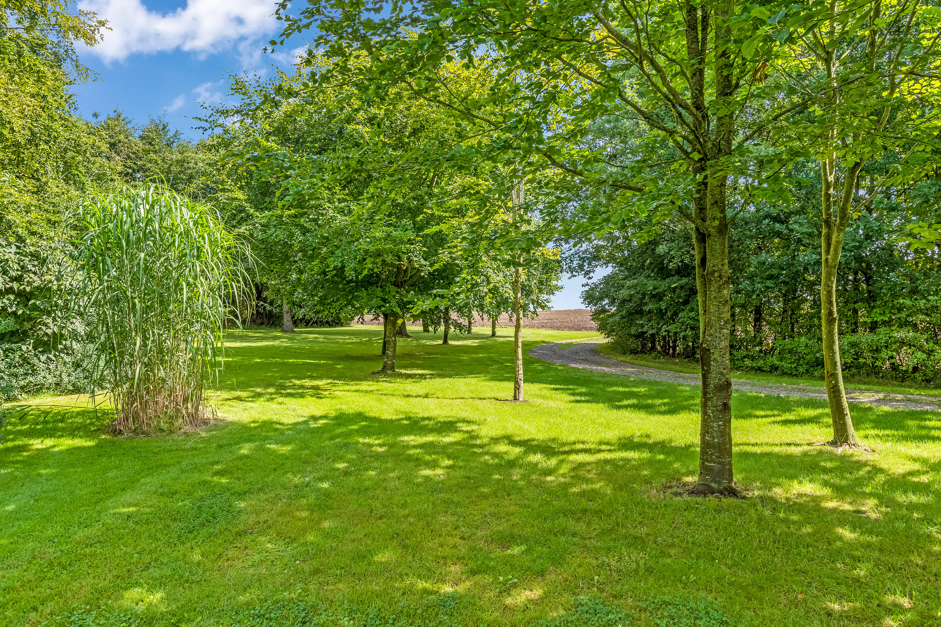 Fremhævet have billede i fuldskærmstilstand. Billede af Nørre Bøgildvej 1, Borbjerg, 7500 Holstebro