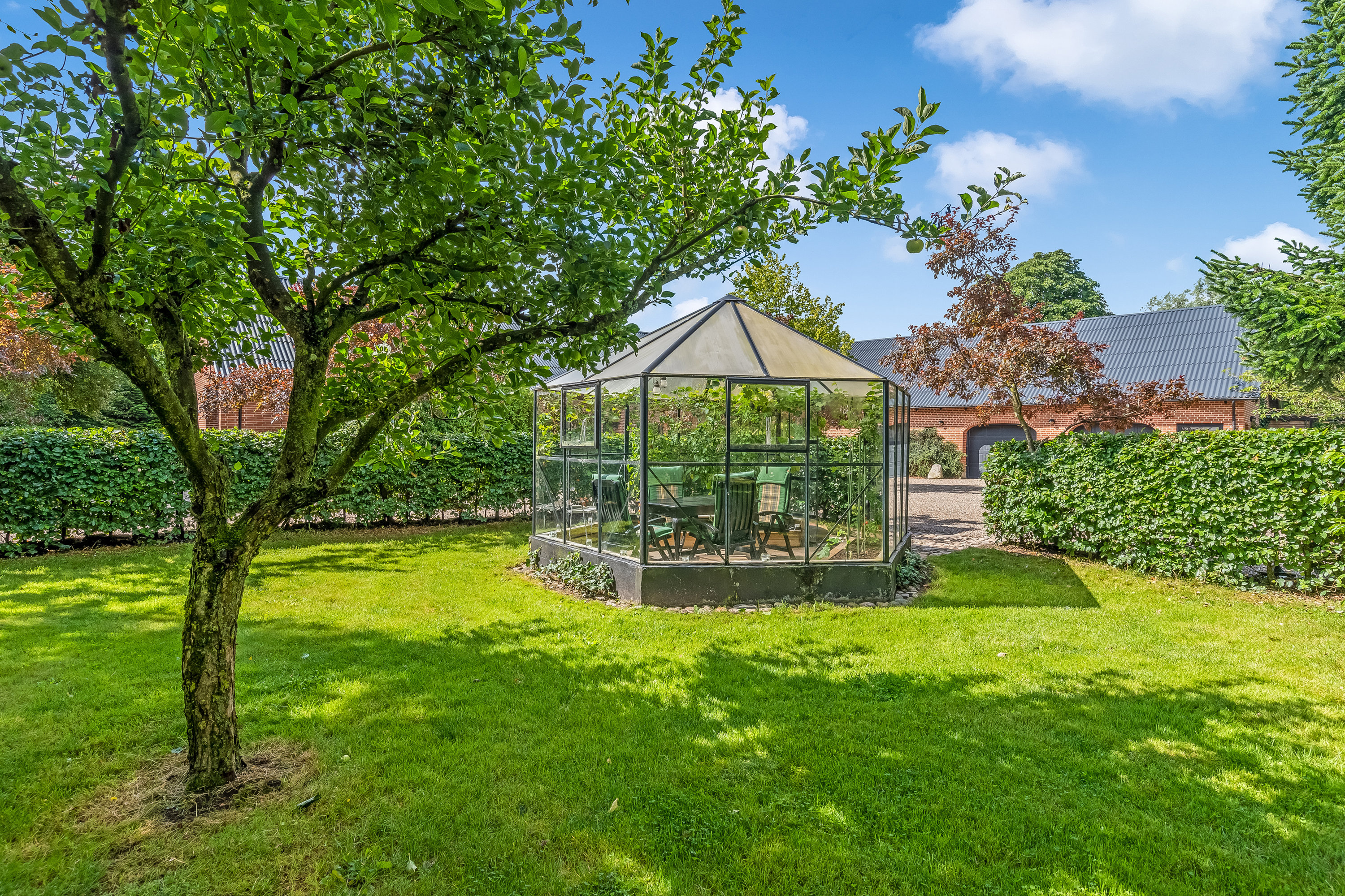 Fremhævet drivhus billede i fuldskærmstilstand. Billede af Nørre Bøgildvej 1, Borbjerg, 7500 Holstebro