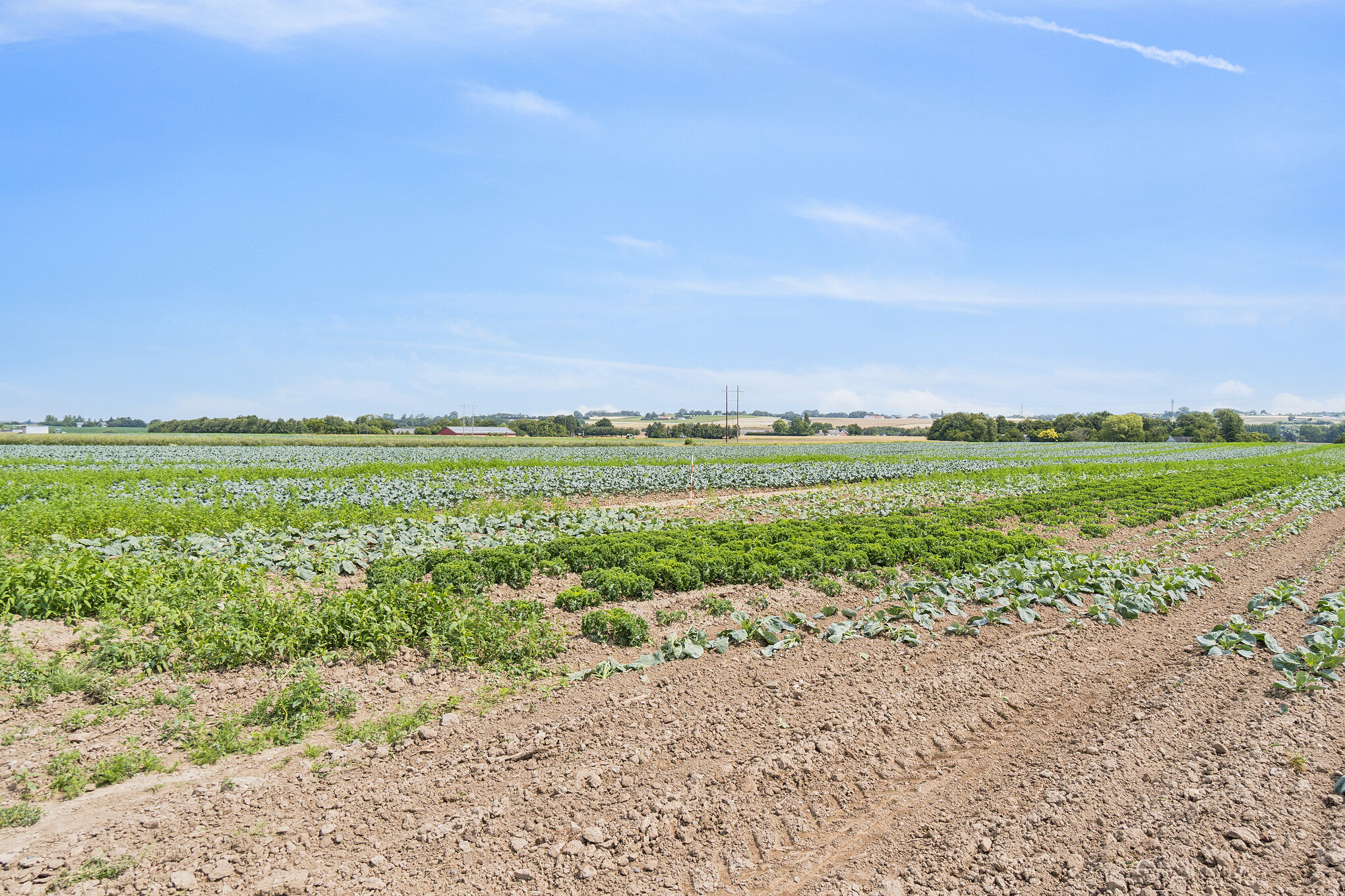 Fremhævet  billede i fuldskærmstilstand. Billede af Slagelse Landevej 135B, 4241 Vemmelev