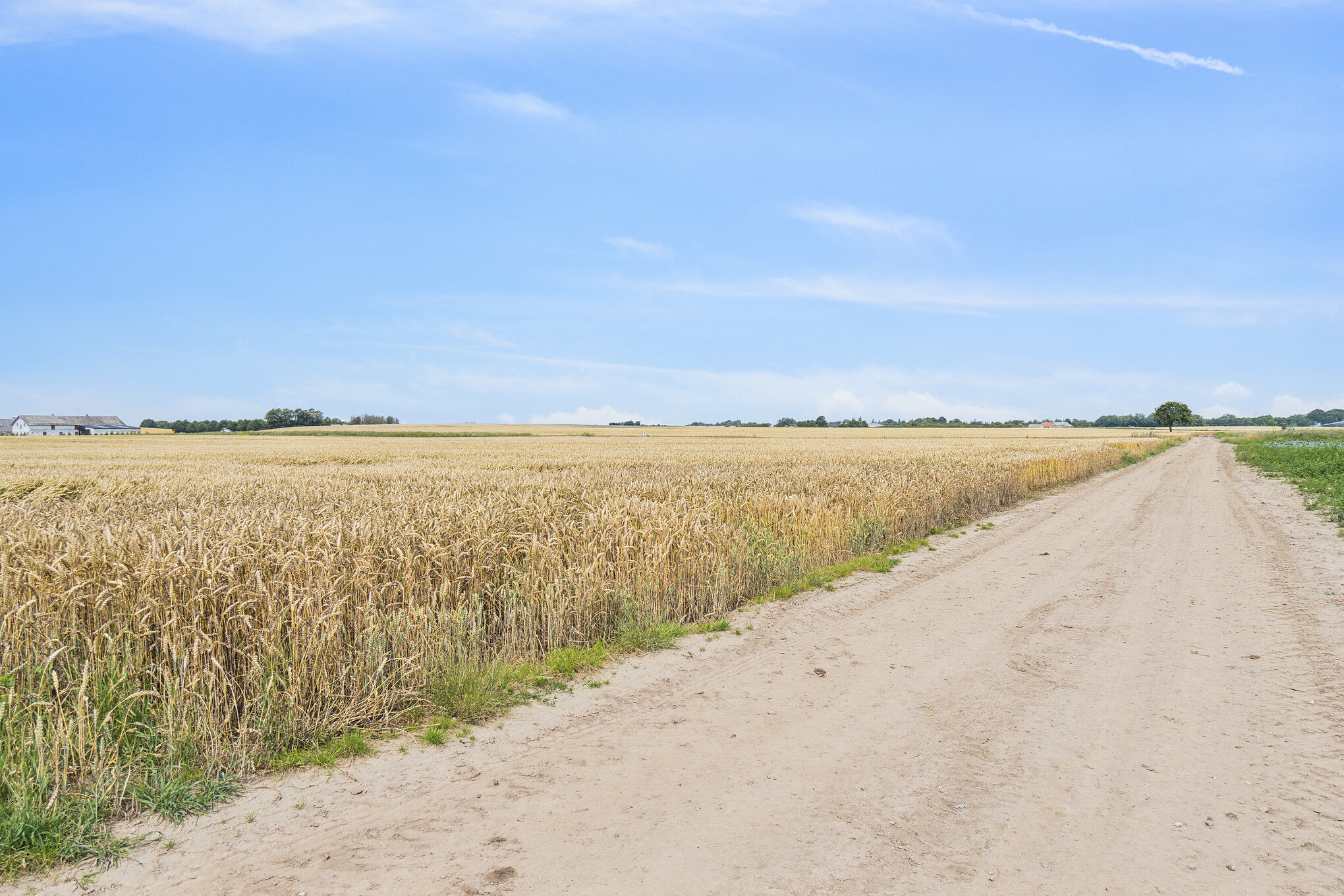 Fremhævet  billede i fuldskærmstilstand. Billede af Slagelse Landevej 135B, 4241 Vemmelev