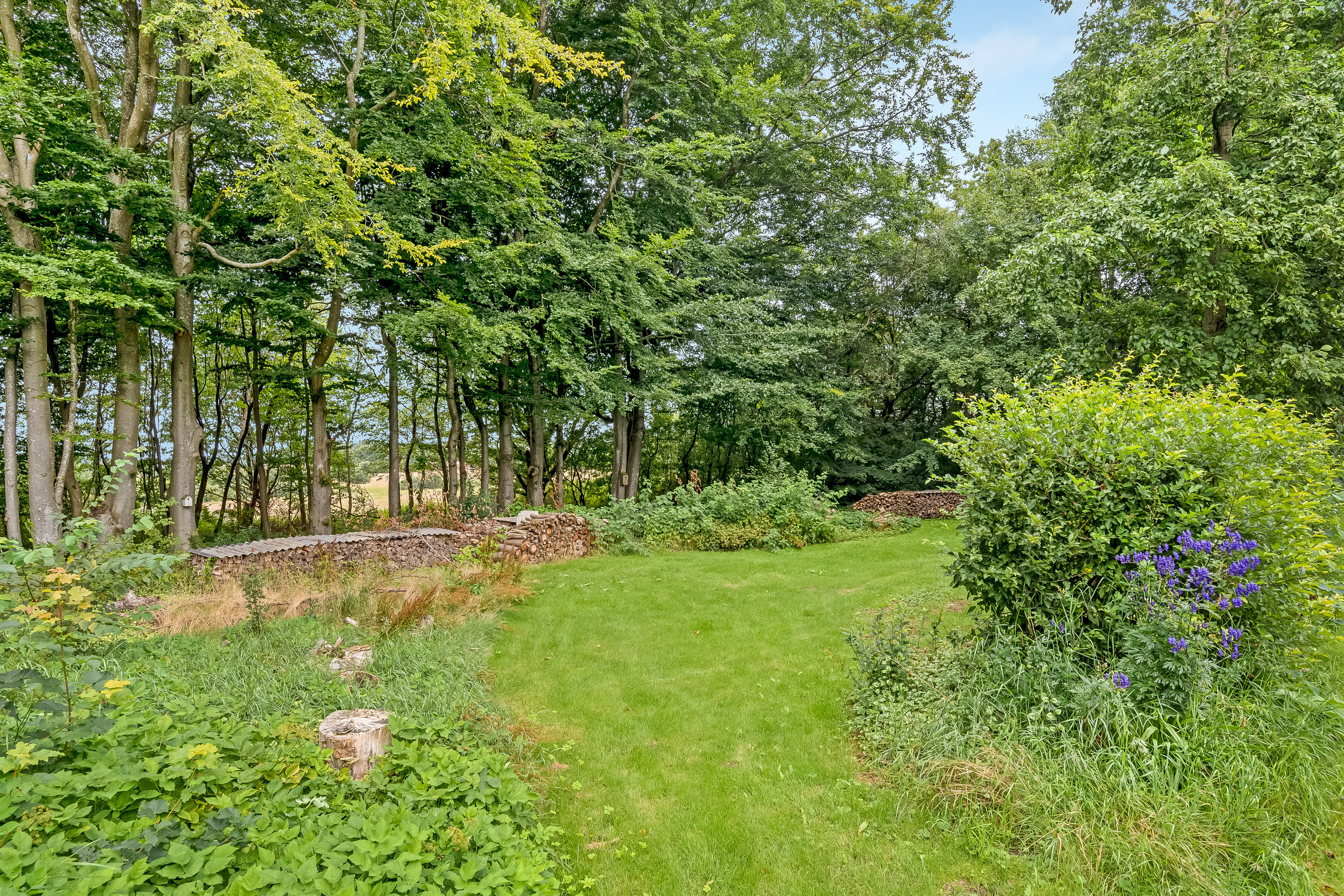 Fremhævet jordtilliggende billede i fuldskærmstilstand. Billede af Agerfeldvej 17, 7550 Sørvad