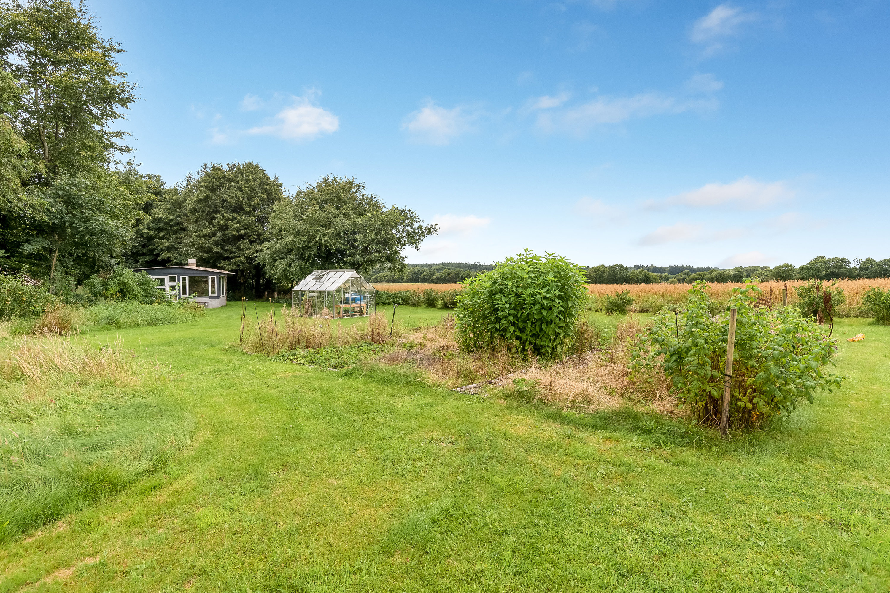 Fremhævet have billede i fuldskærmstilstand. Billede af Agerfeldvej 17, 7550 Sørvad