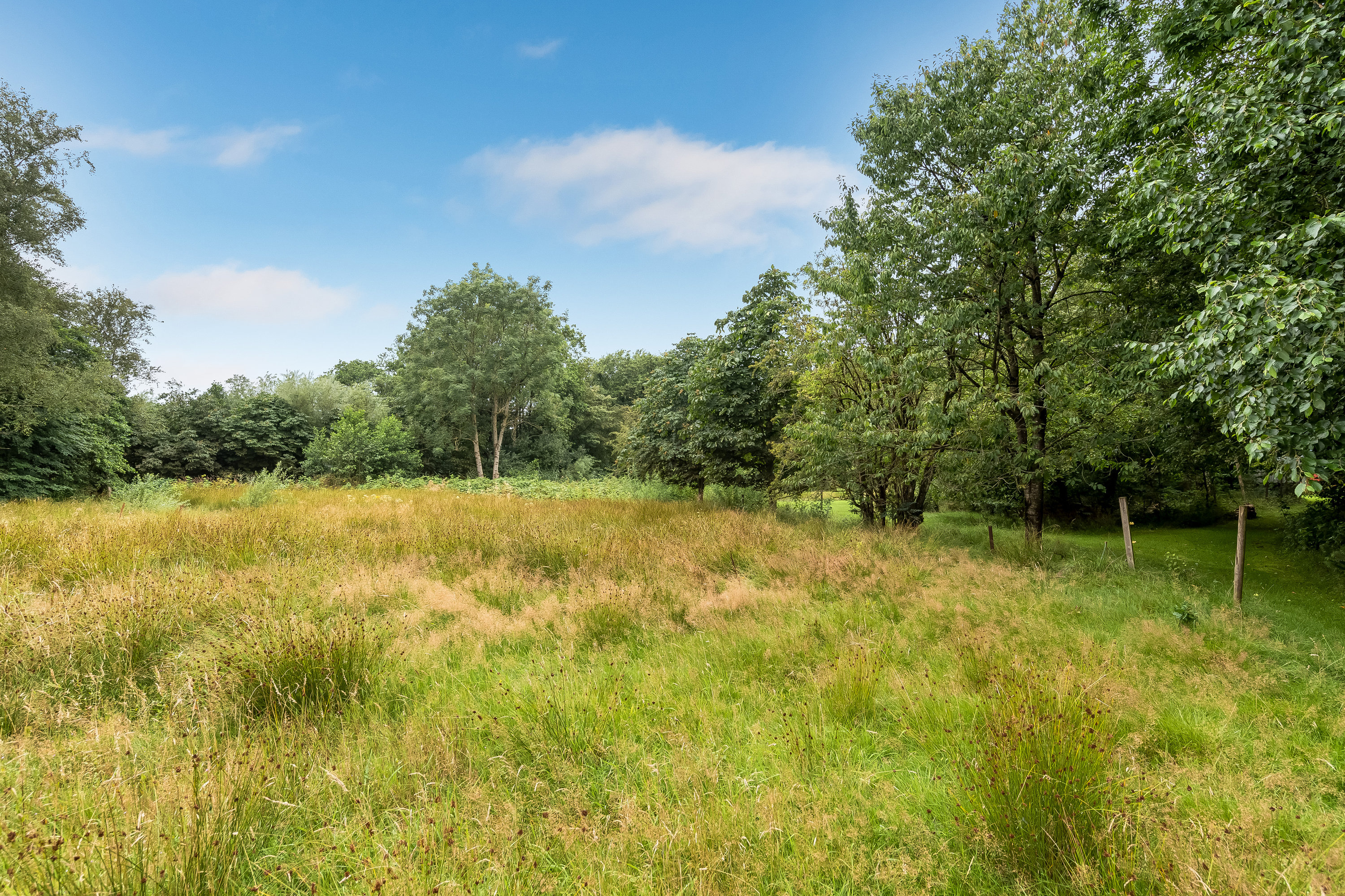 Fremhævet jordtilliggende billede i fuldskærmstilstand. Billede af Agerfeldvej 17, 7550 Sørvad