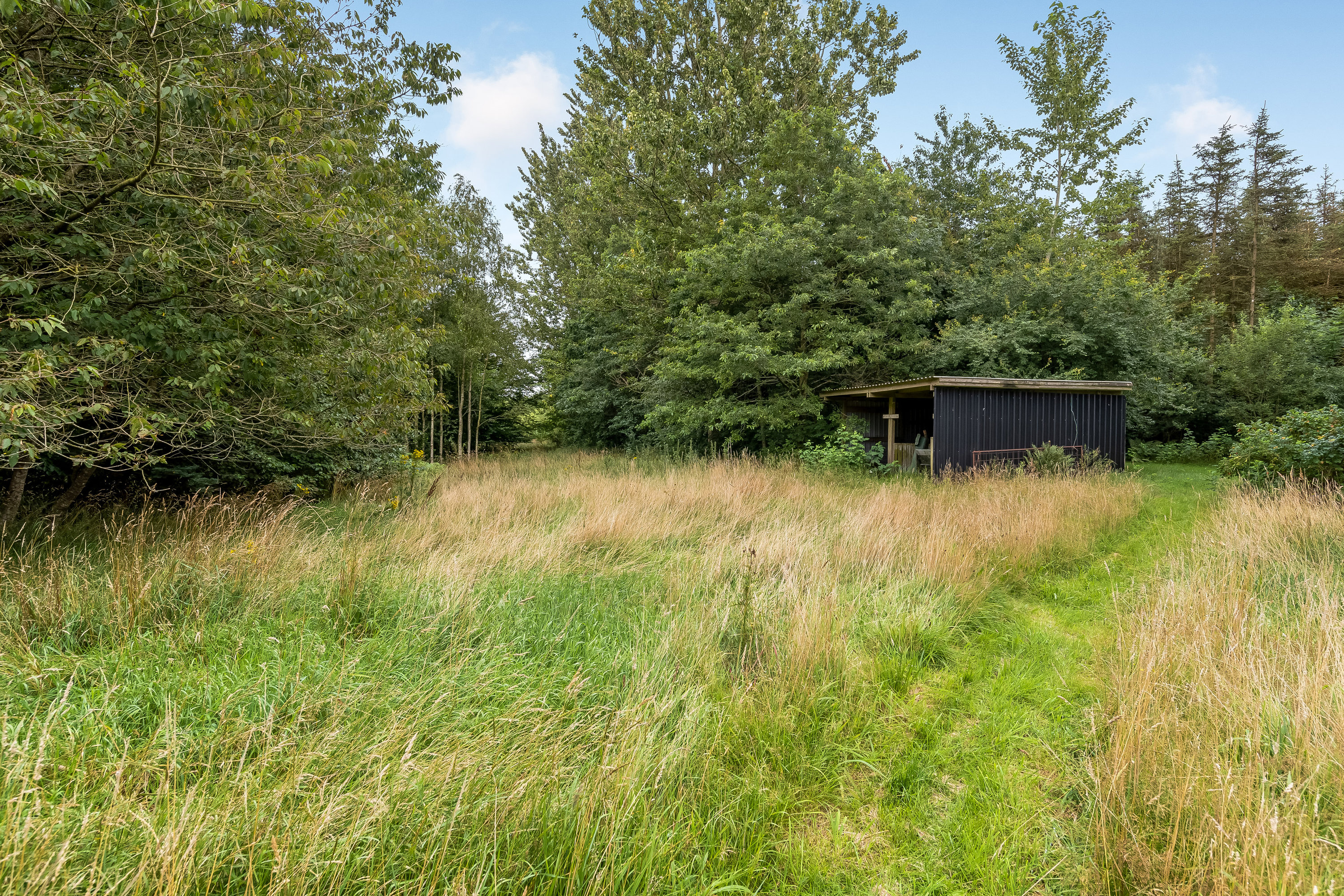 Fremhævet jordtilliggende billede i fuldskærmstilstand. Billede af Agerfeldvej 17, 7550 Sørvad