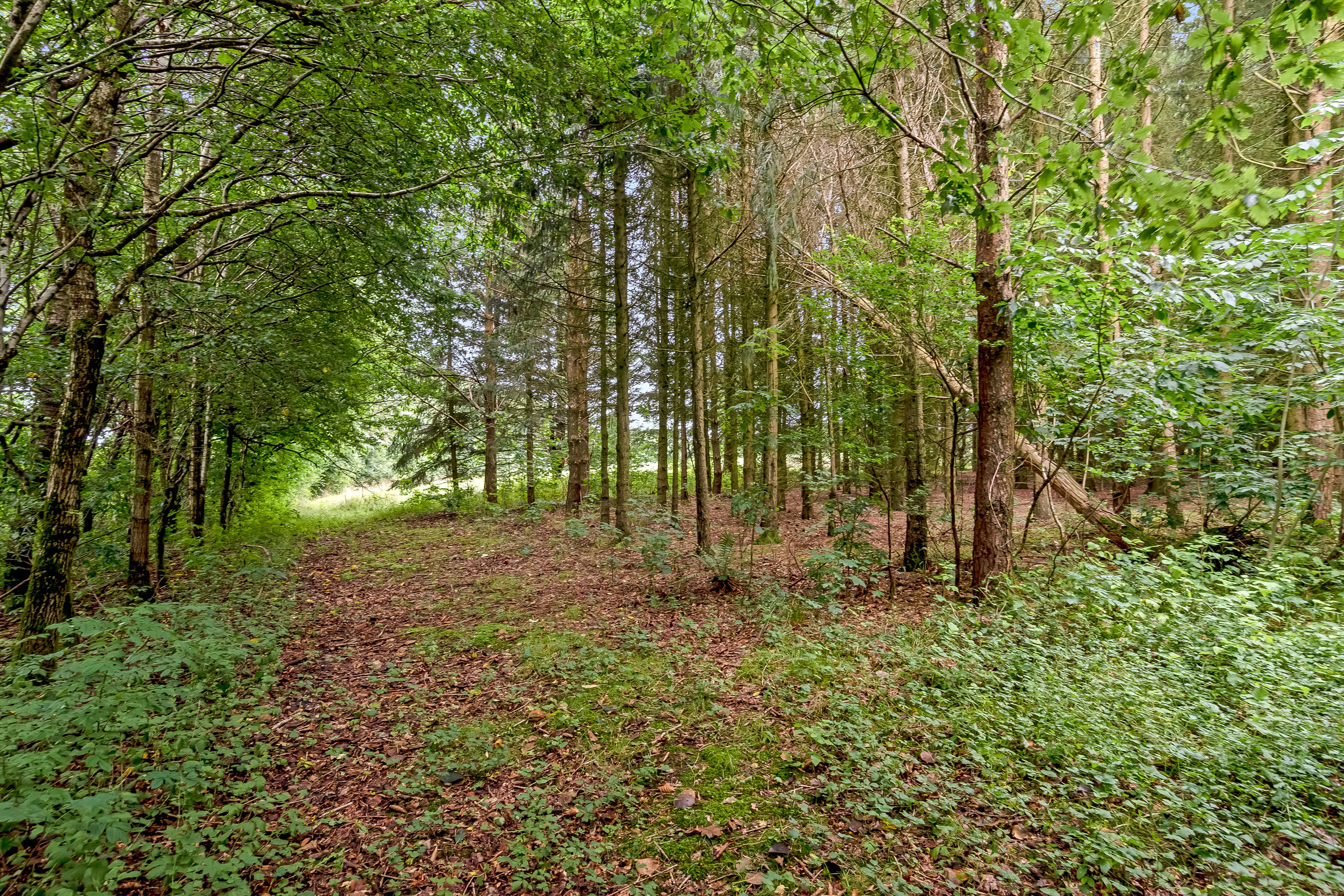 Fremhævet jordtilliggende billede i fuldskærmstilstand. Billede af Agerfeldvej 17, 7550 Sørvad