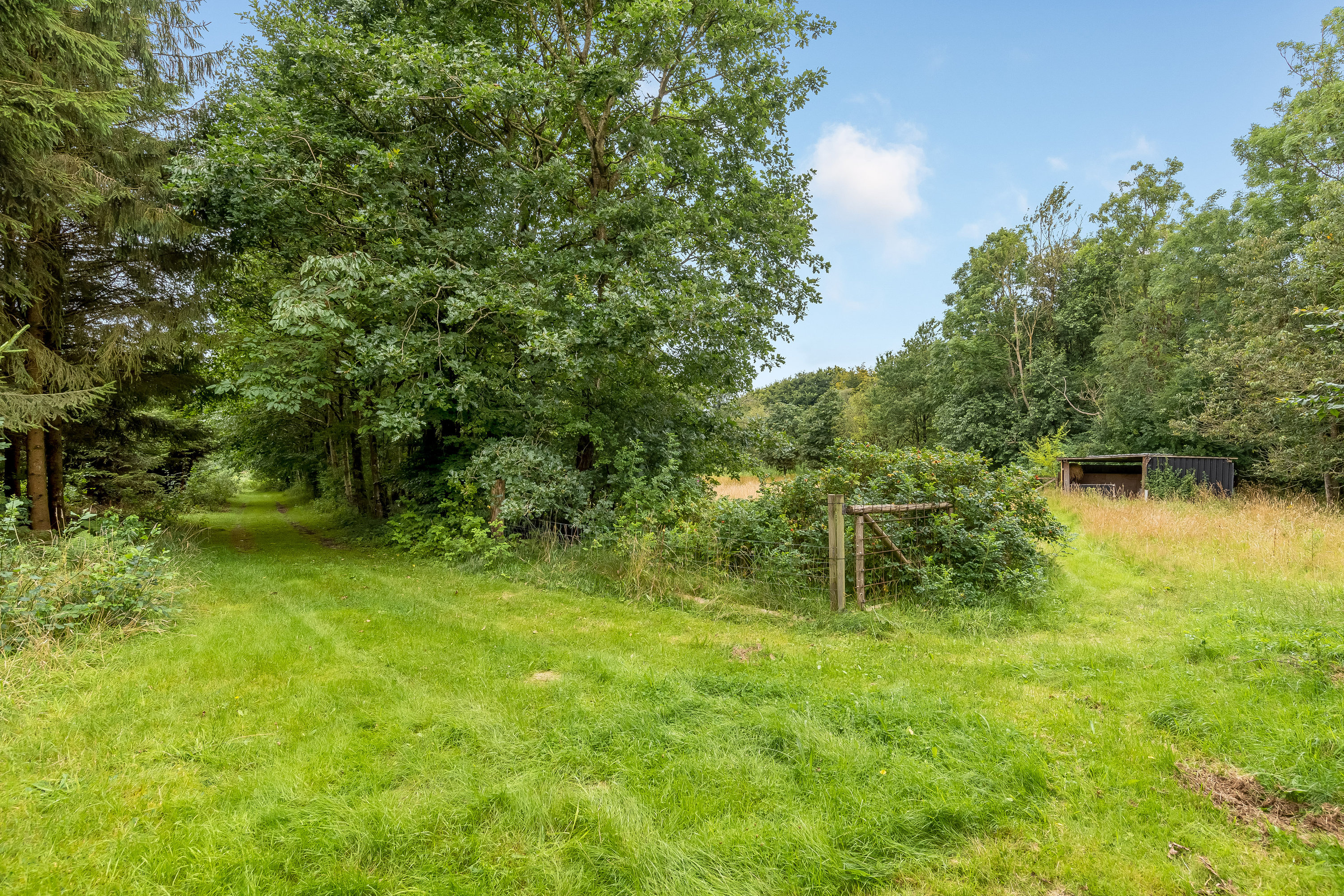 Fremhævet jordtilliggende billede i fuldskærmstilstand. Billede af Agerfeldvej 17, 7550 Sørvad