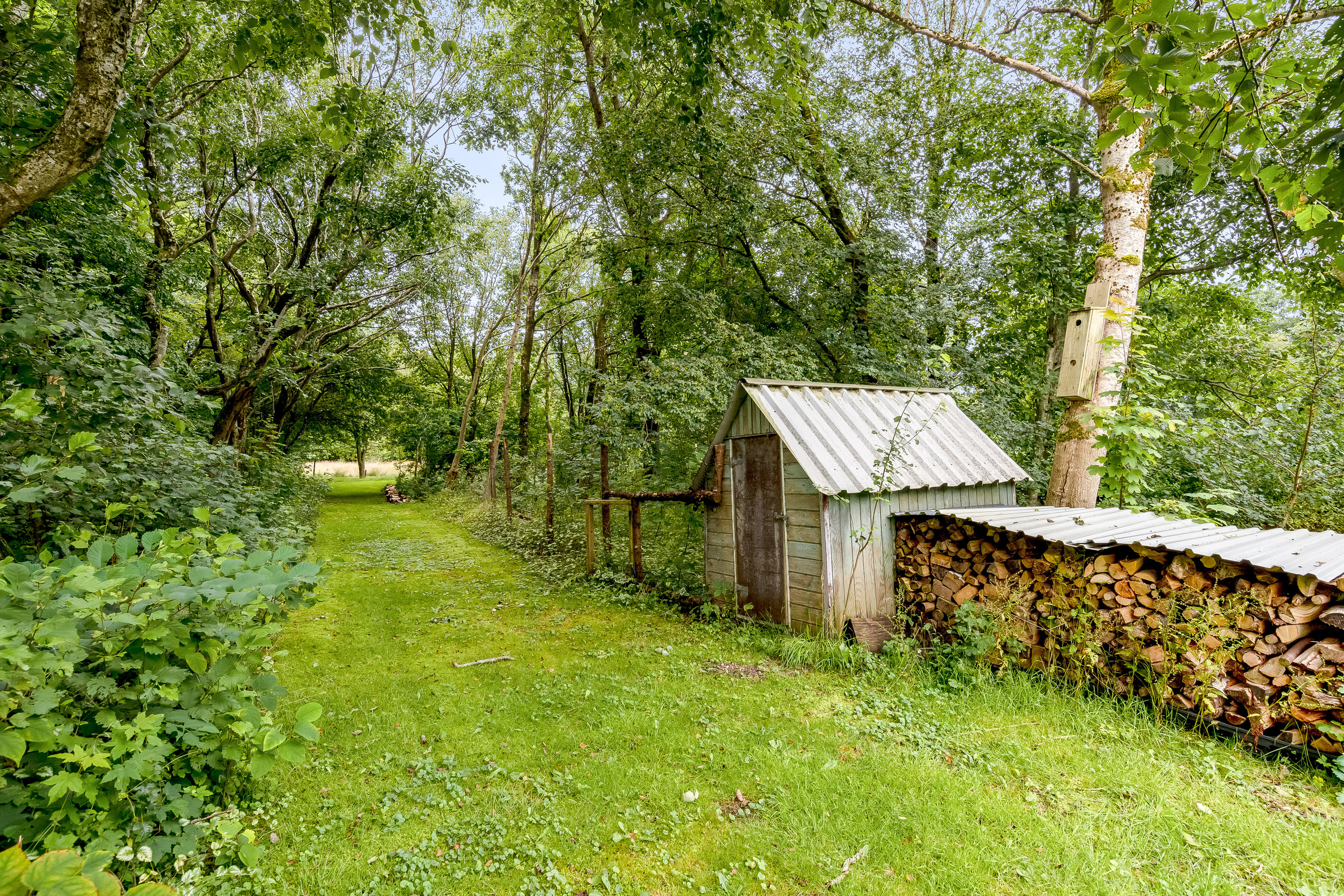 Fremhævet jordtilliggende billede i fuldskærmstilstand. Billede af Agerfeldvej 17, 7550 Sørvad