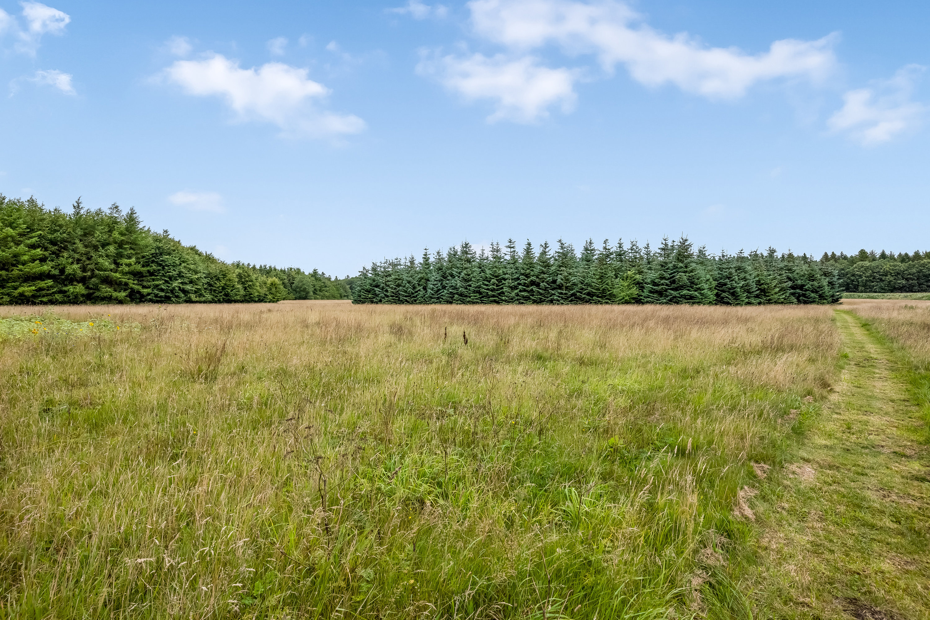Fremhævet udsigt billede i fuldskærmstilstand. Billede af Tinkerdalsvej 3, Skave, 7500 Holstebro