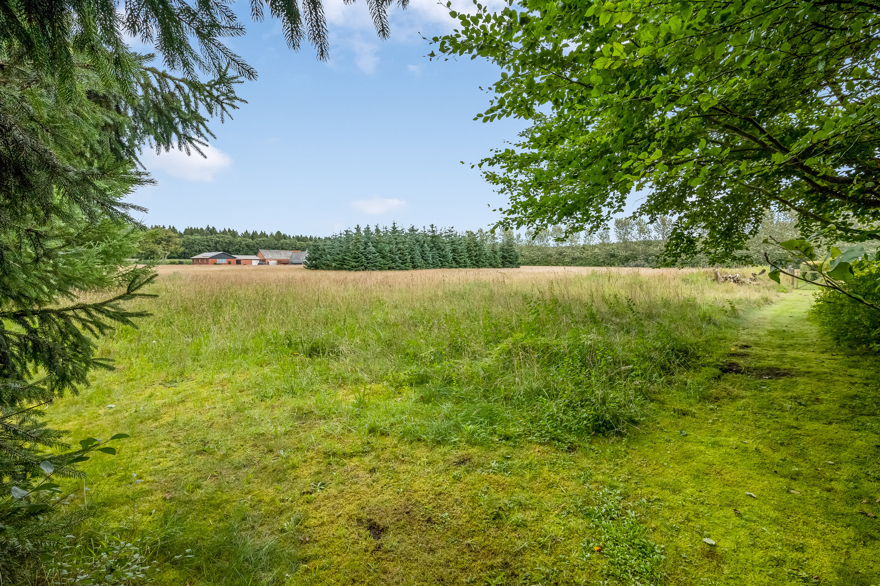 Fremhævet skov billede i fuldskærmstilstand. Billede af Tinkerdalsvej 3, Skave, 7500 Holstebro