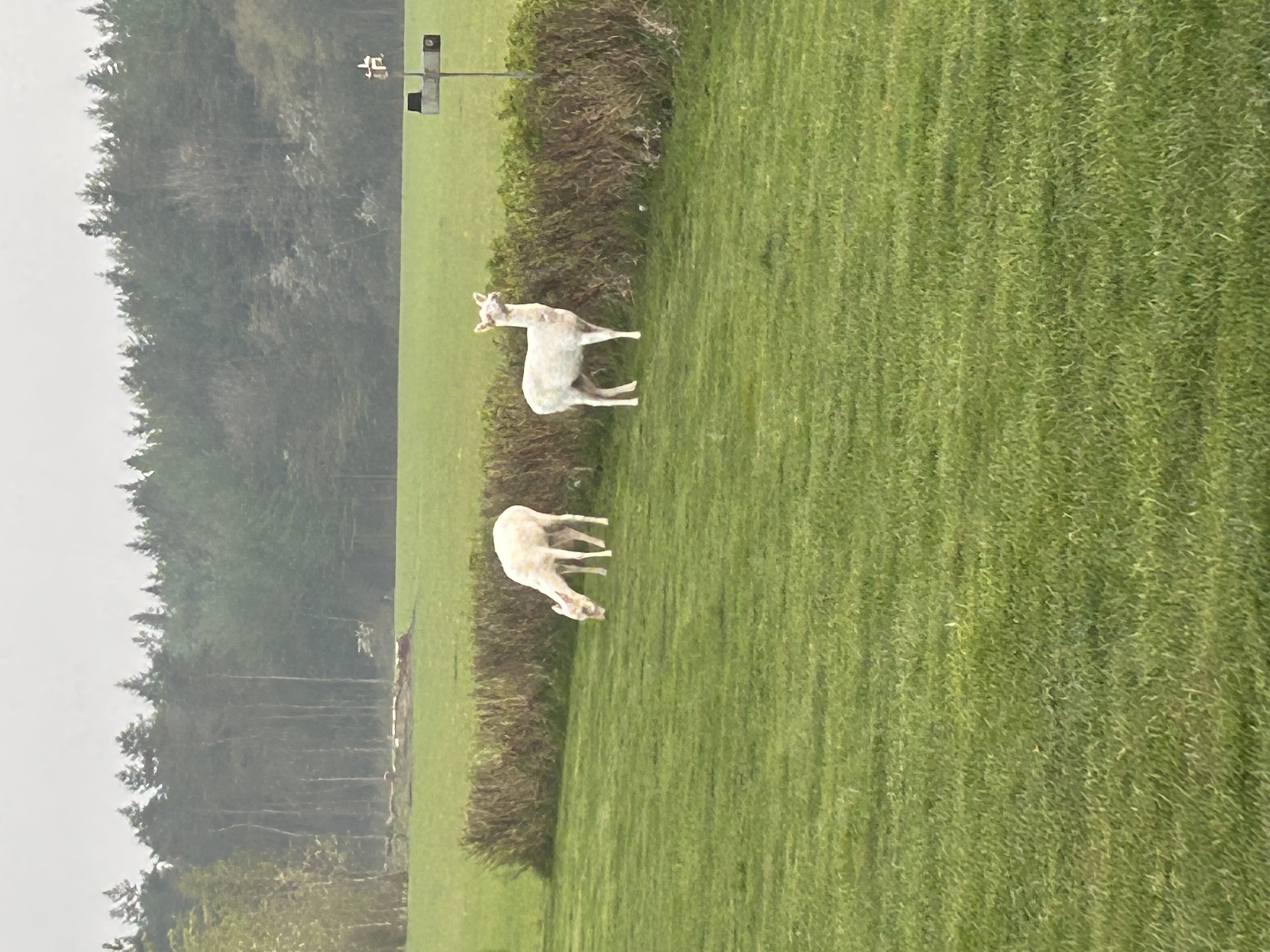 Fremhævet  billede i fuldskærmstilstand. Billede af Ravnholtvej 5, Knudstrup, 8620 Kjellerup
