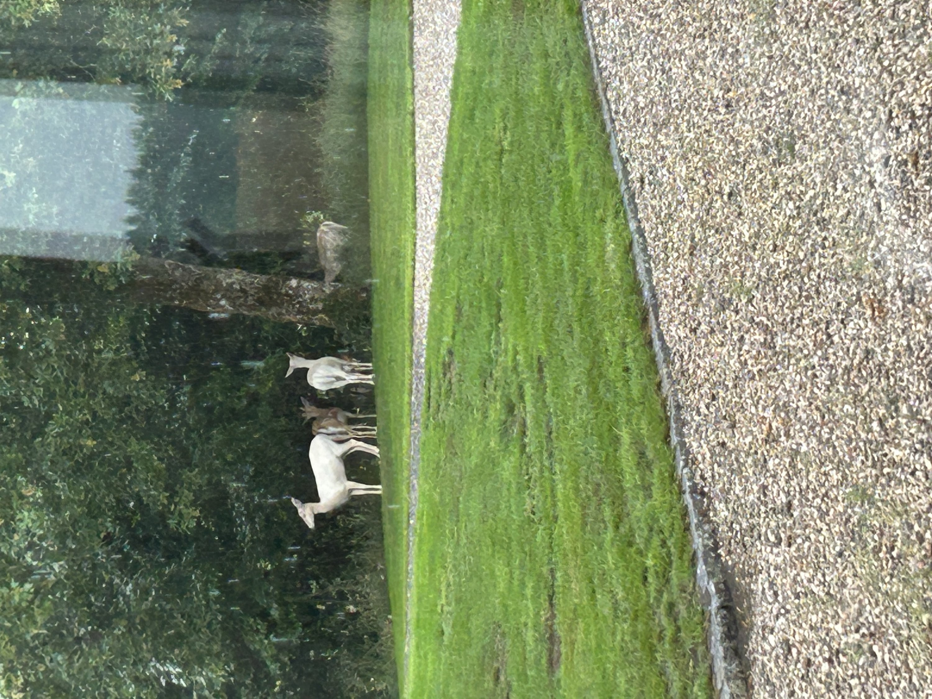 Fremhævet  billede i fuldskærmstilstand. Billede af Ravnholtvej 5, Knudstrup, 8620 Kjellerup