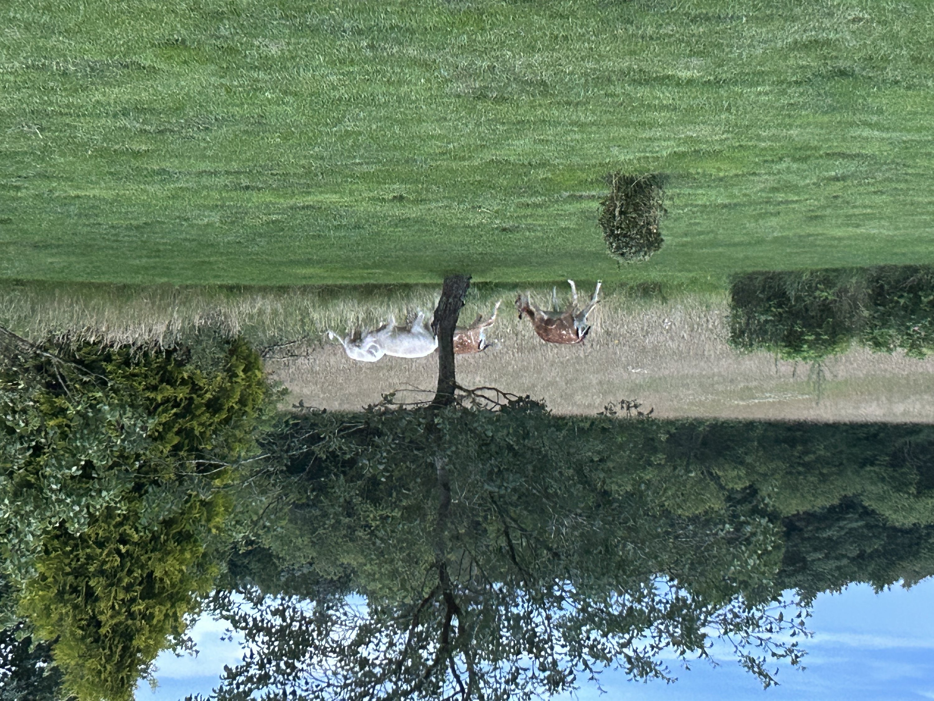 Fremhævet  billede i fuldskærmstilstand. Billede af Ravnholtvej 5, Knudstrup, 8620 Kjellerup