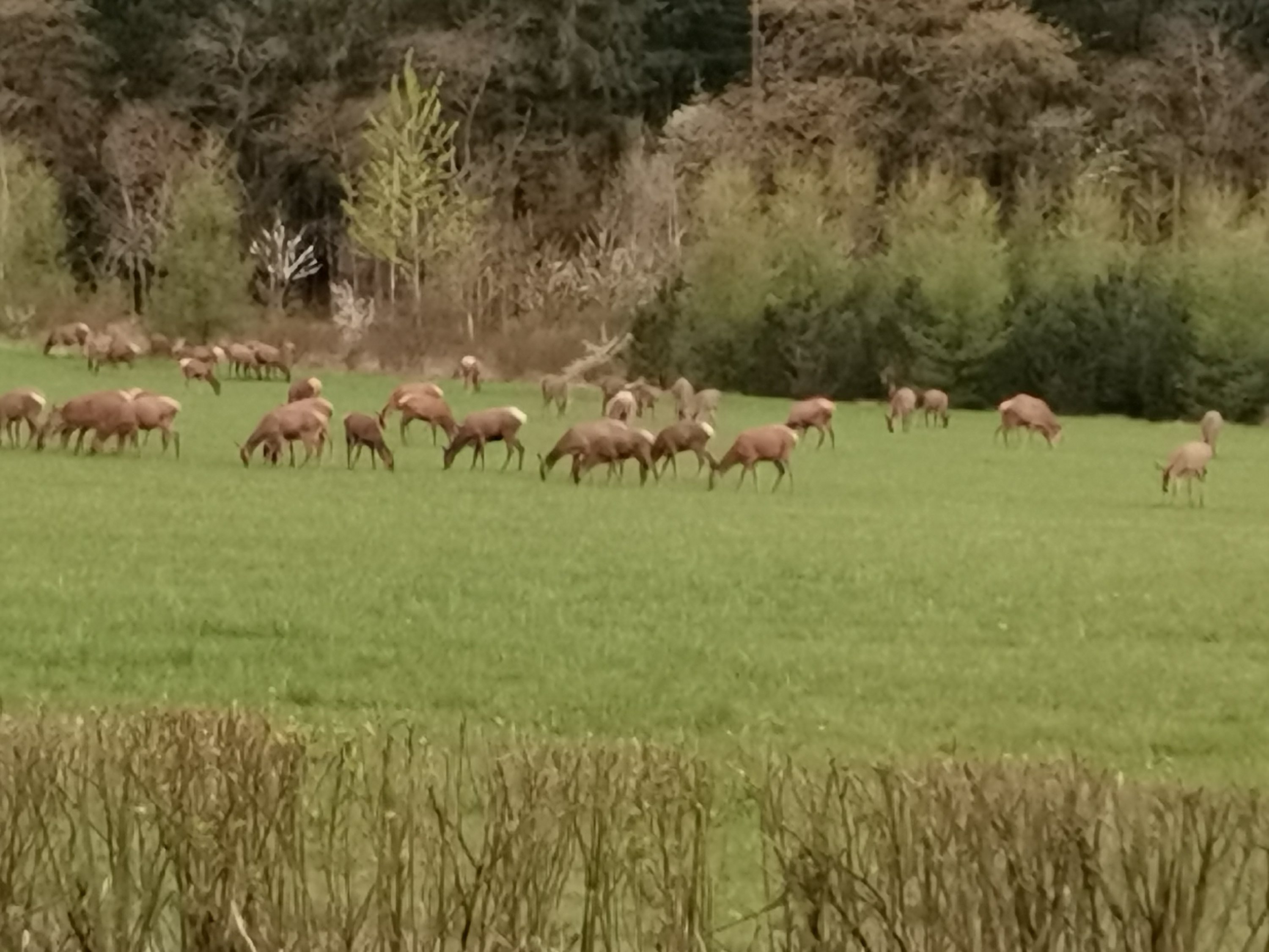 Fremhævet  billede i fuldskærmstilstand. Billede af Ravnholtvej 5, Knudstrup, 8620 Kjellerup