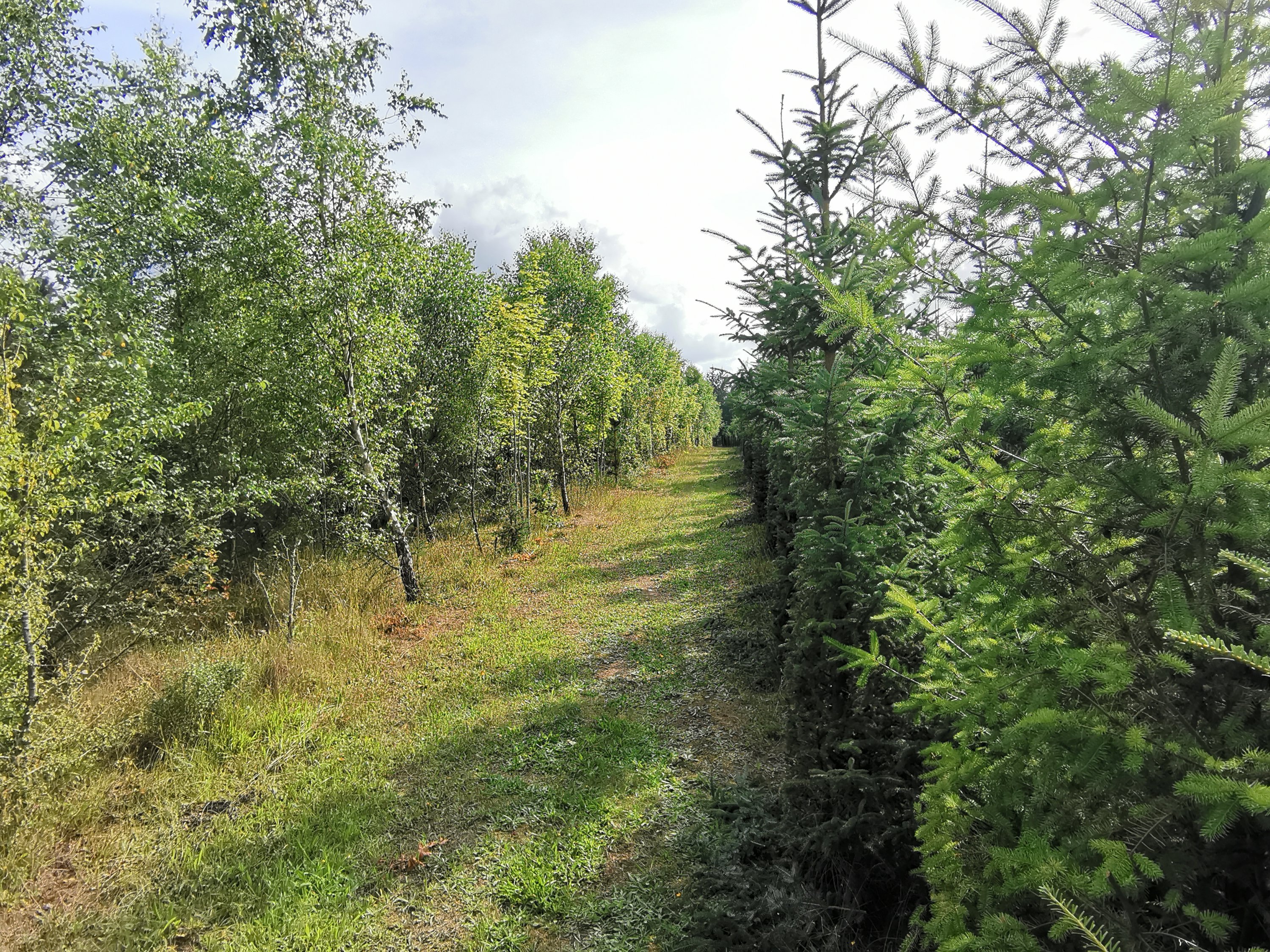 Fremhævet  billede i fuldskærmstilstand. Billede af Ravnholtvej 5, Knudstrup, 8620 Kjellerup