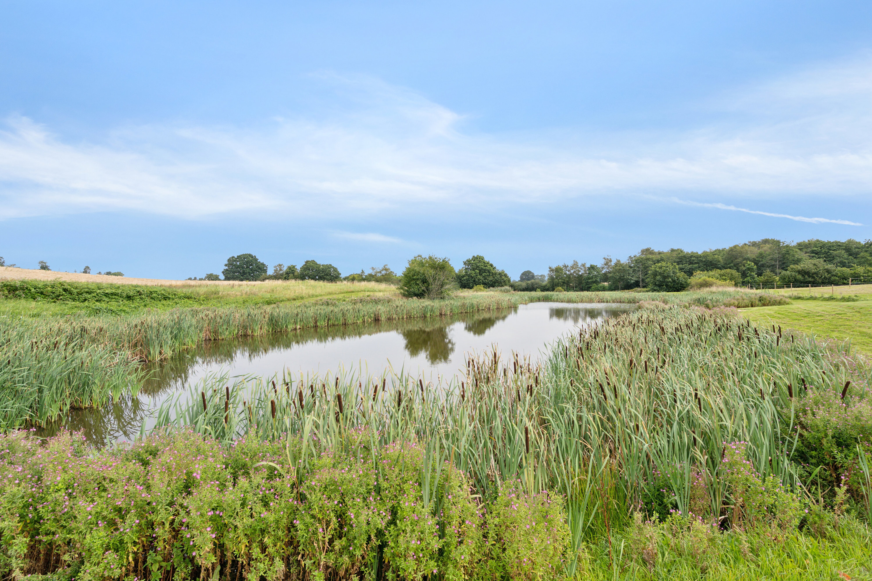 Fremhævet have billede i fuldskærmstilstand. Billede af Vædehave 18 (en del) og Vædehave 16, 5462 Morud