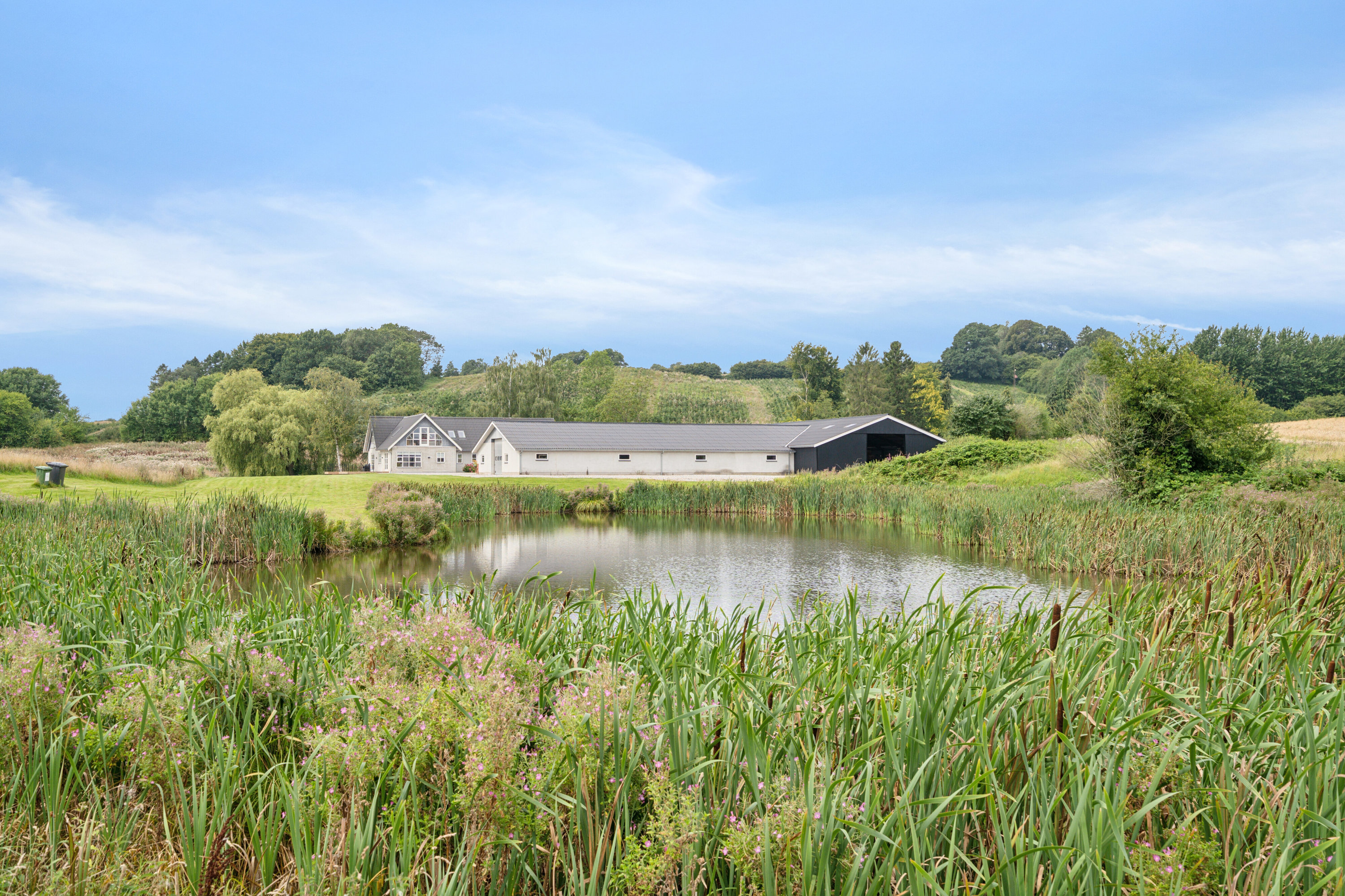 Miniaturebillede 2: have. Billede af Vædehave 18 (en del) og Vædehave 16, 5462 Morud