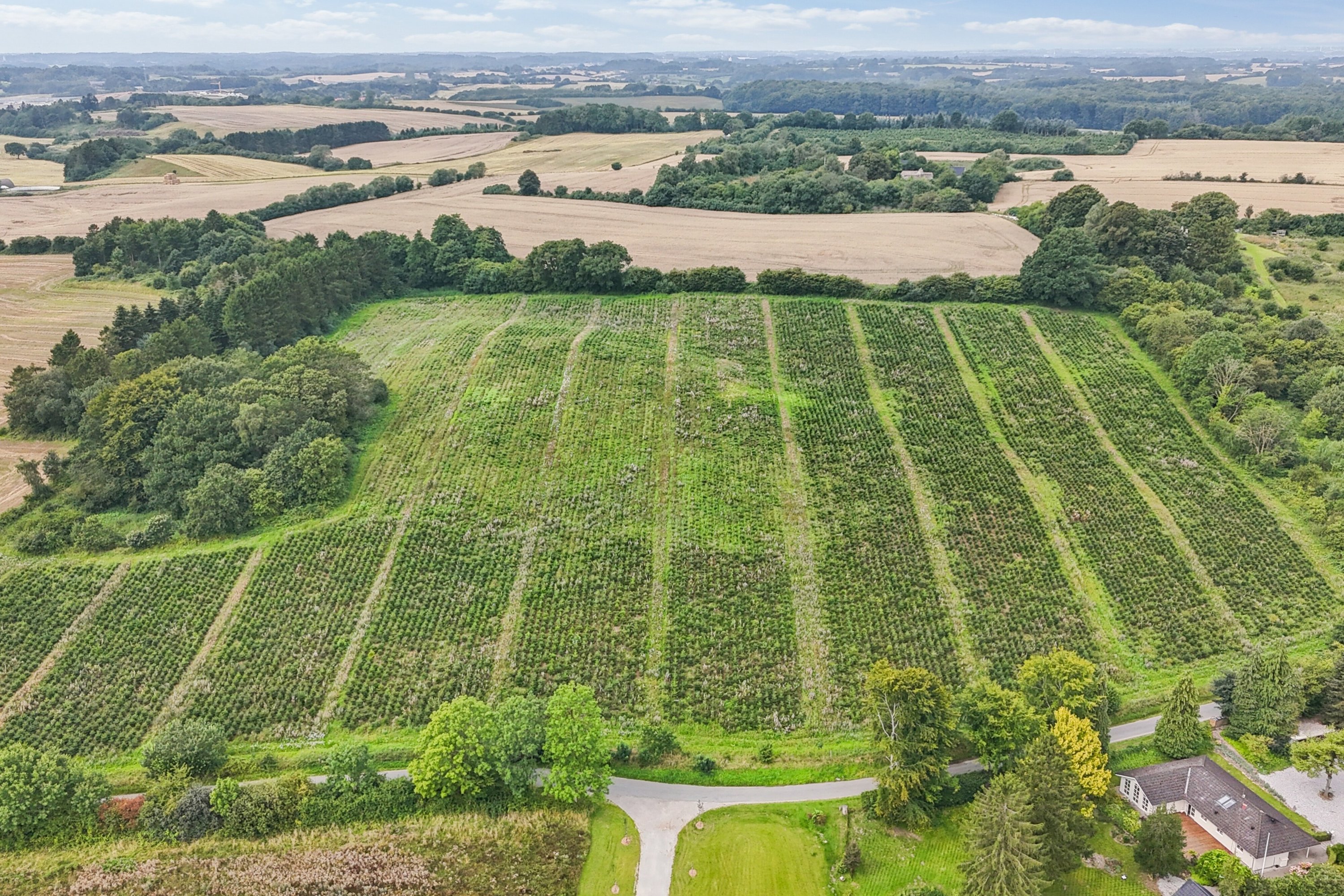 Fremhævet luftfoto billede i fuldskærmstilstand. Billede af Vædehave 18 (en del) og Vædehave 16, 5462 Morud