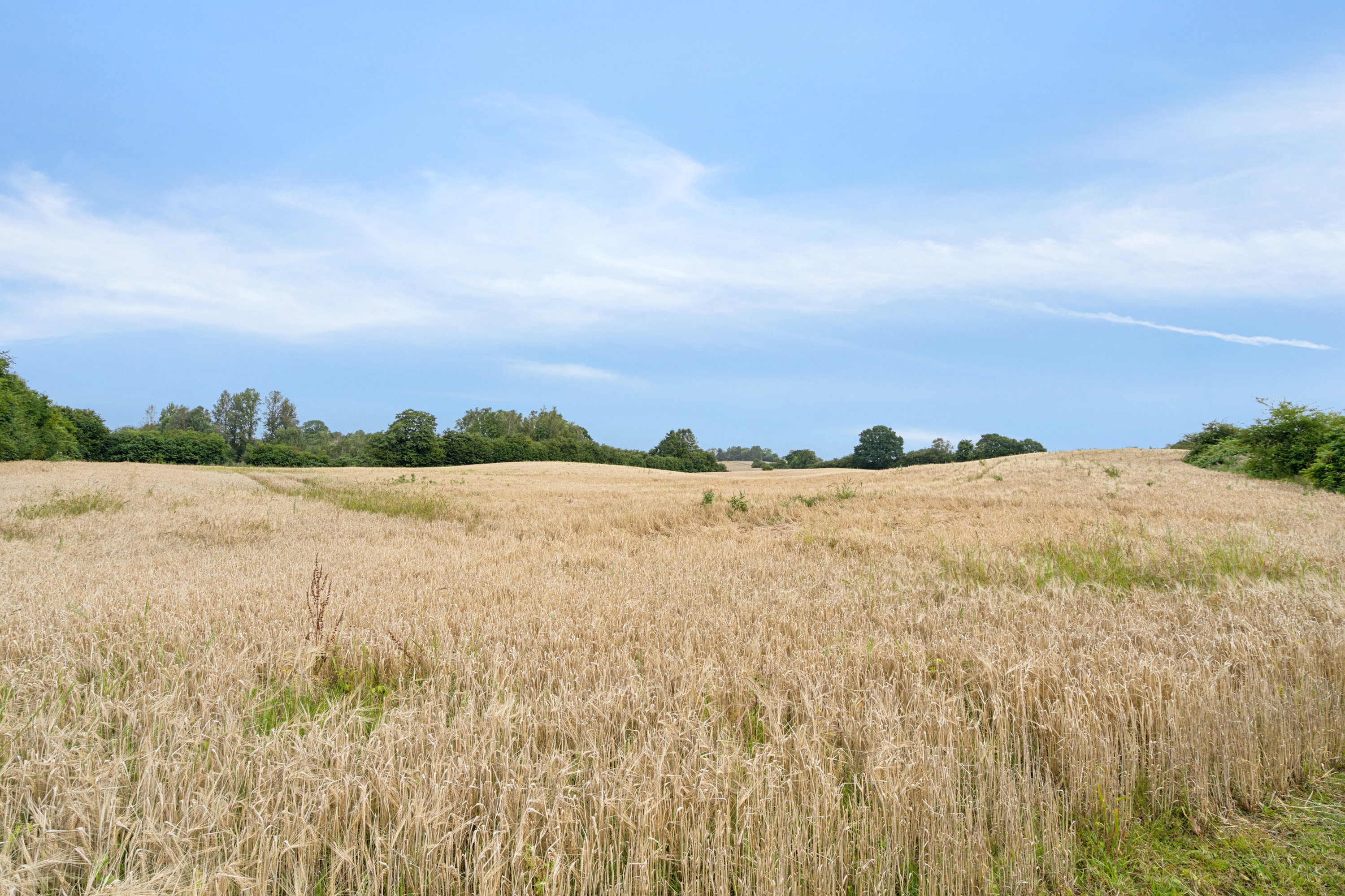 Fremhævet have billede i fuldskærmstilstand. Billede af Vædehave 18 (en del) og Vædehave 16, 5462 Morud
