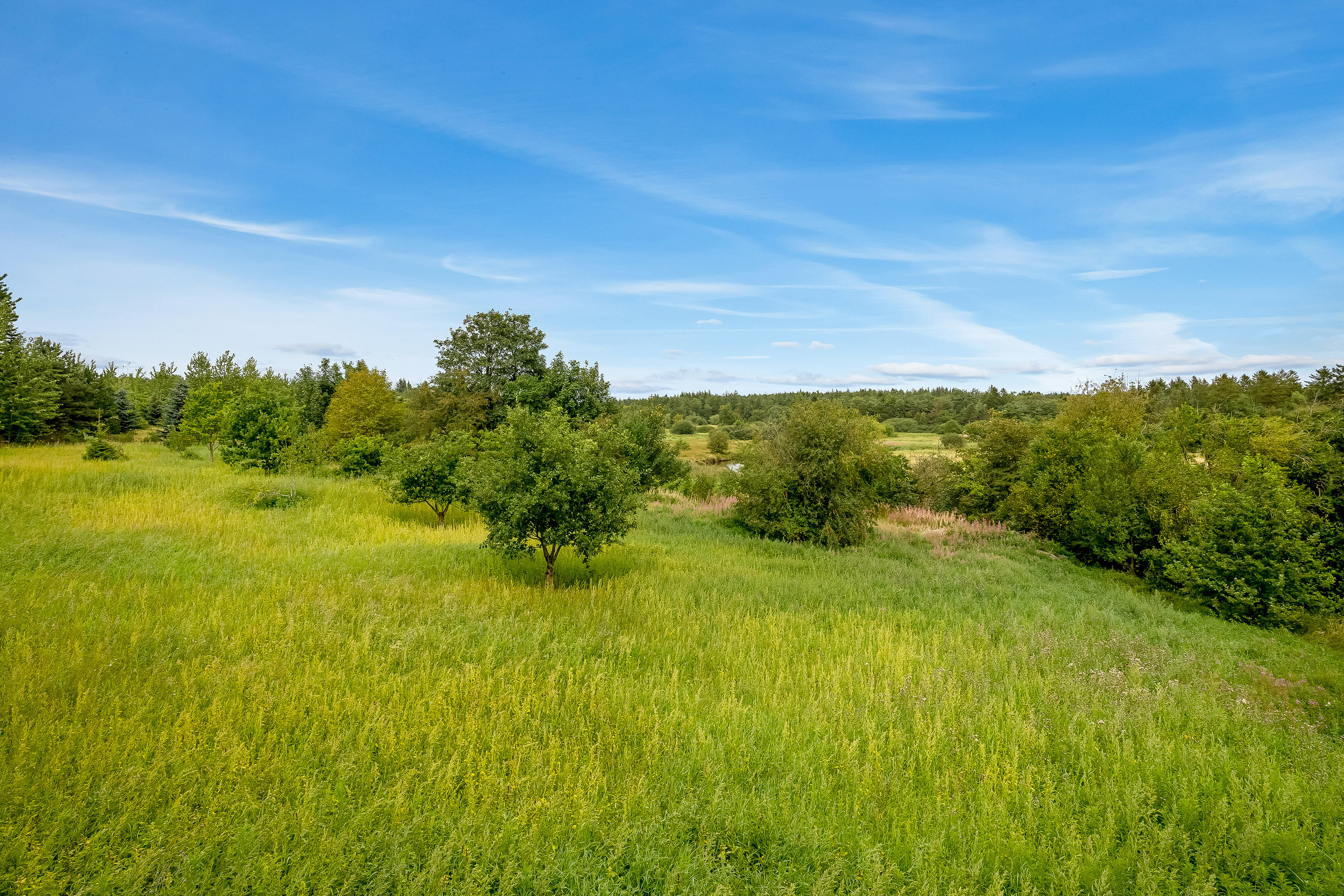 Fremhævet have billede i fuldskærmstilstand. Billede af Karupvej 59, Fårbæk, 7470 Karup J